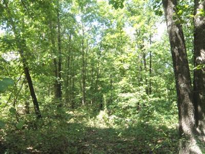 0 Woodpecker Road Reeds Spring, MO 65737 - Photo 1 of 1 Primary Photo