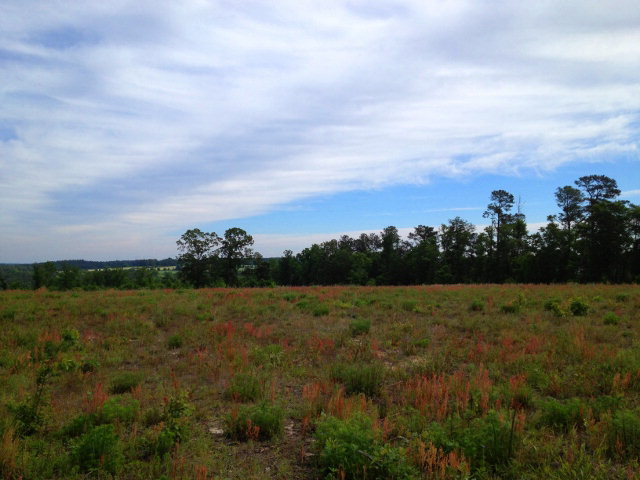 Tract B Township Road Aiken, SC 29803 - Photo 12 of 19