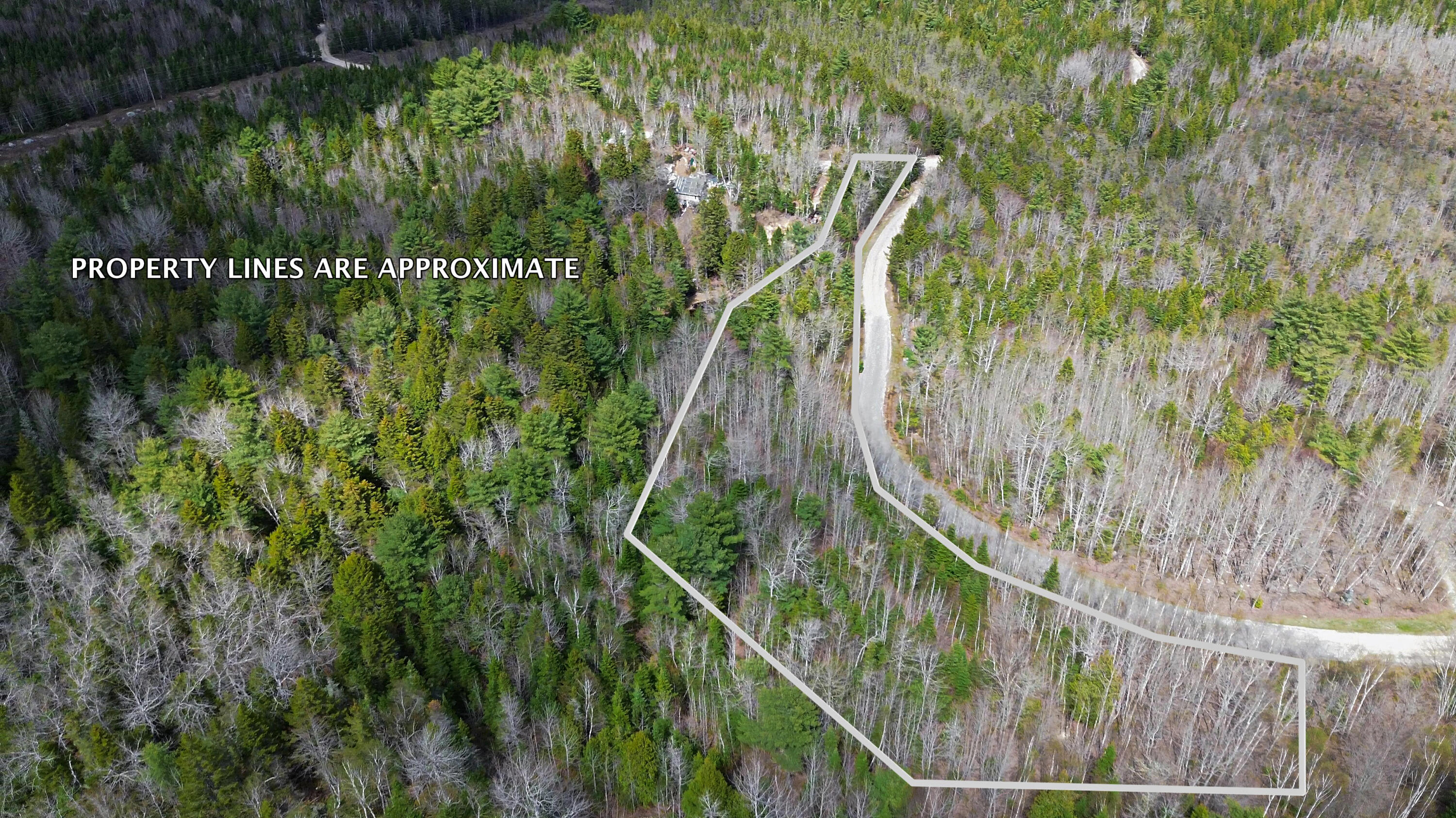 Lot20-20 Bailey Mountain Road Franklin, ME 04634 - Photo 2 of 10 First lot on RIght