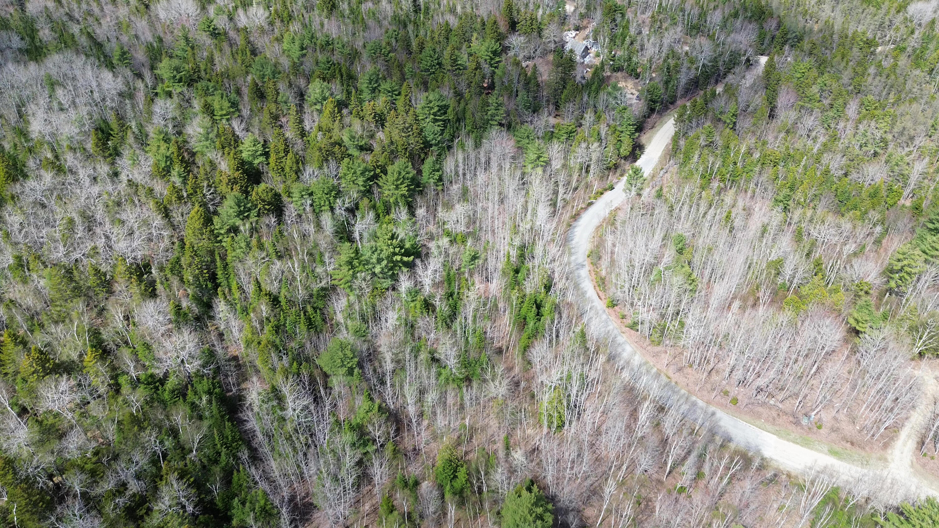 Lot20-20 Bailey Mountain Road Franklin, ME 04634 - Photo 5 of 10 LOT 20A