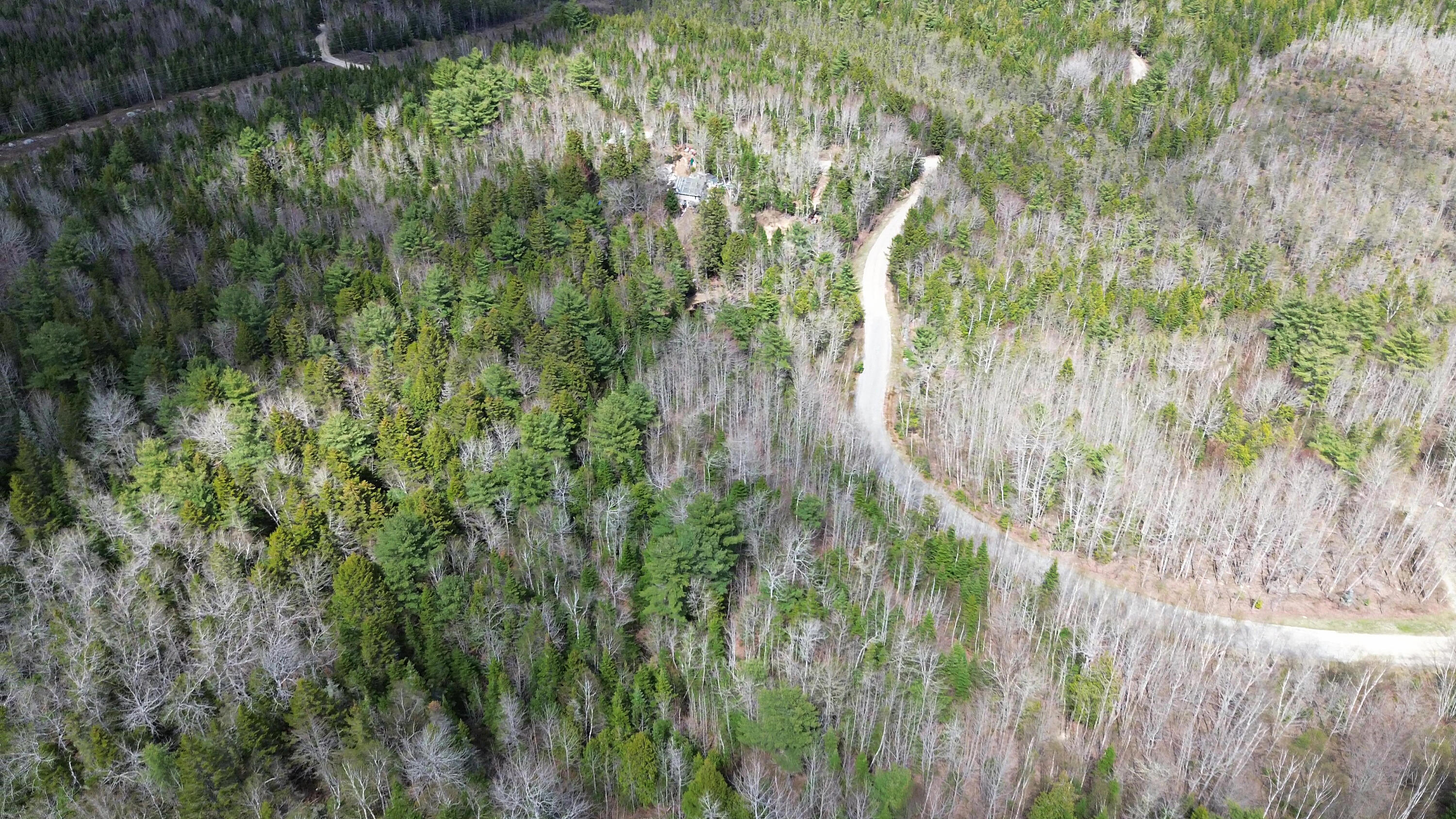 Lot20-20 Bailey Mountain Road Franklin, ME 04634 - Photo 6 of 10 LOT 20A