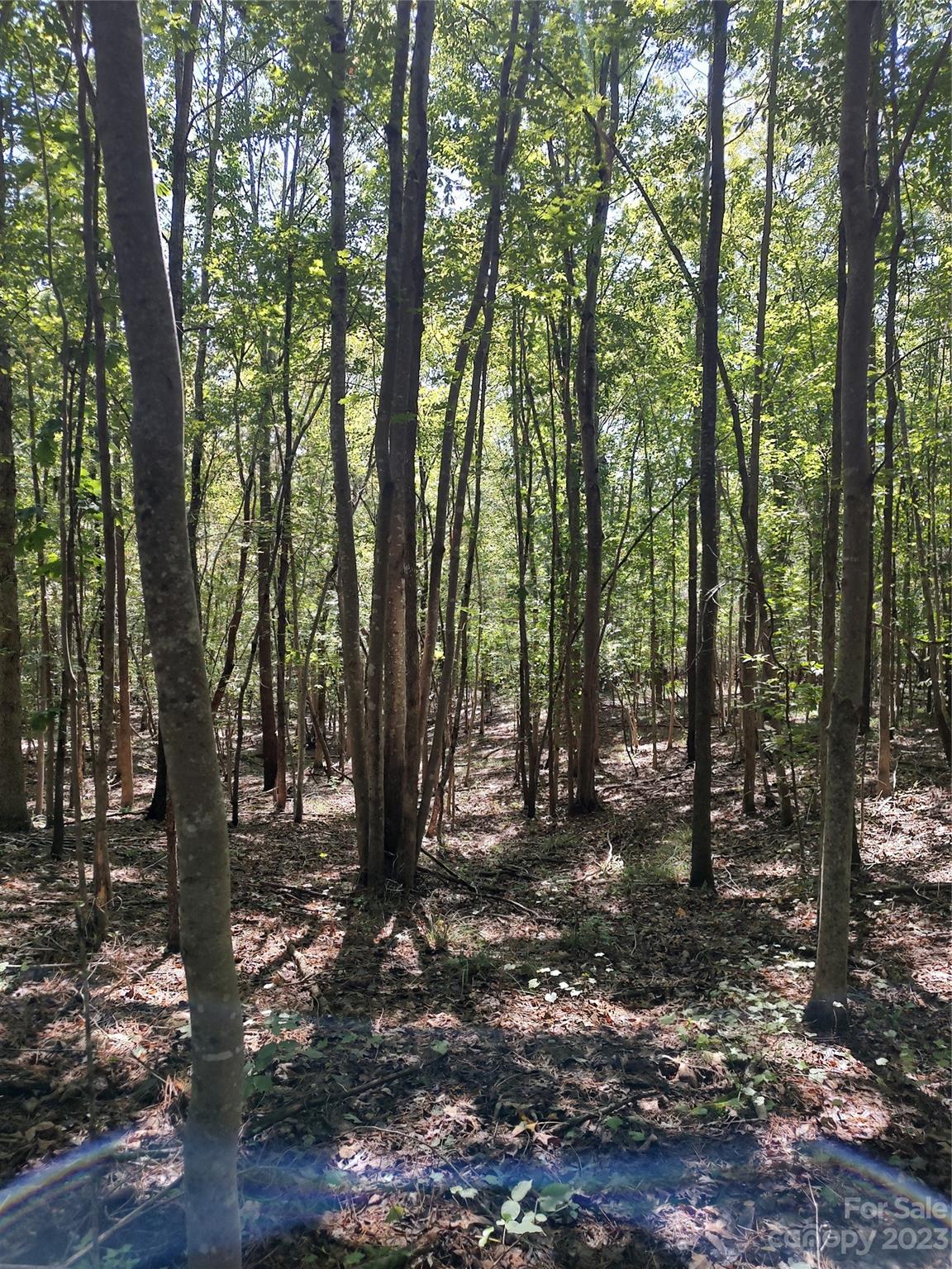 6970 John Furr Road Concord, NC 28025 - Photo 15 of 20 Gallery Image 15