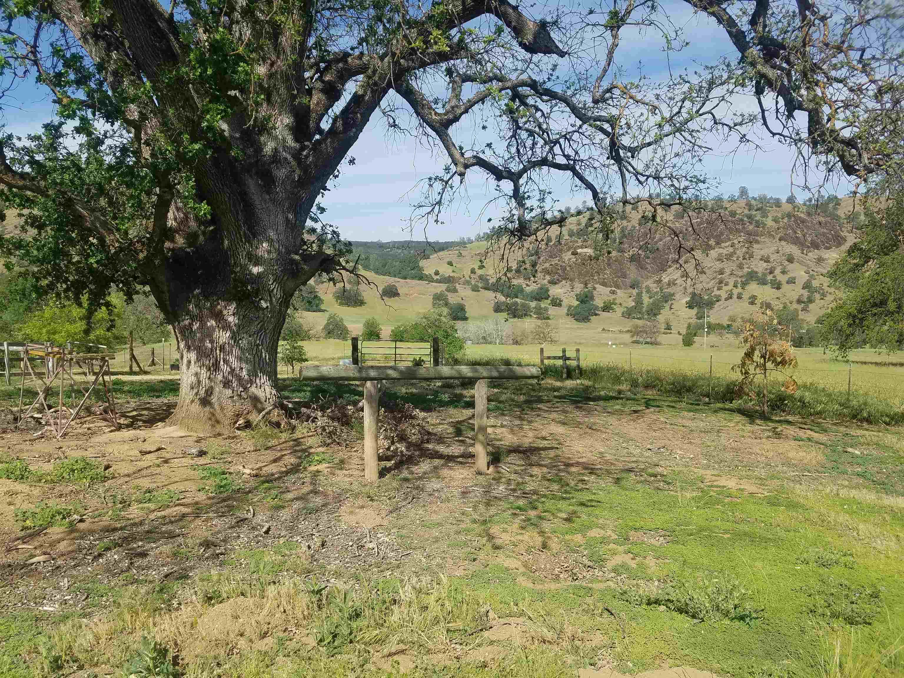 0 High Flat Road Red Bluff, CA 96080 - Photo 6 of 15