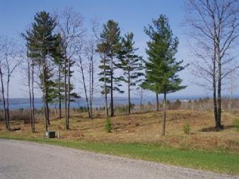 Emerald Ridge, Unit 7 Onekama, MI 49675 - Photo 2 of 2 Additional Photo
