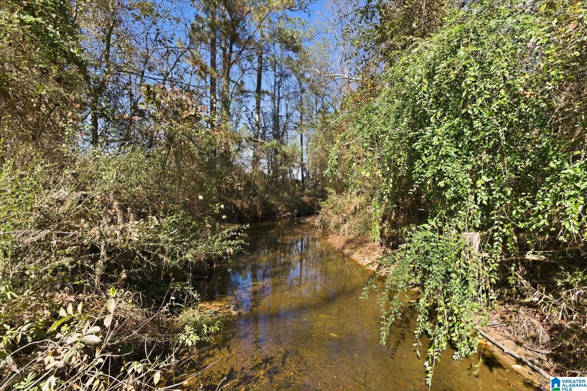 0 County Road 84 Heflin, AL 36264 - Photo 20 of 20