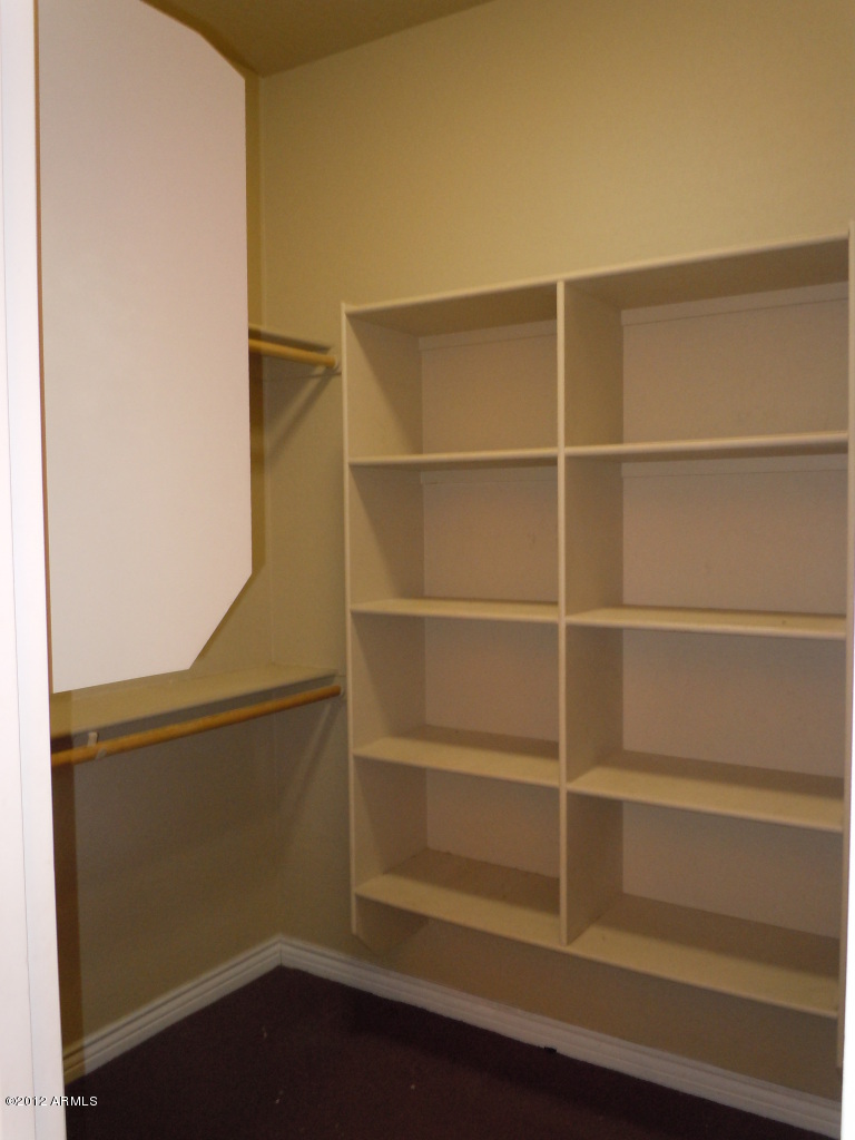 435 South Neuman Way Chandler, AZ 85225 - Photo 23 of 28 a view of walk in closet with empty racks