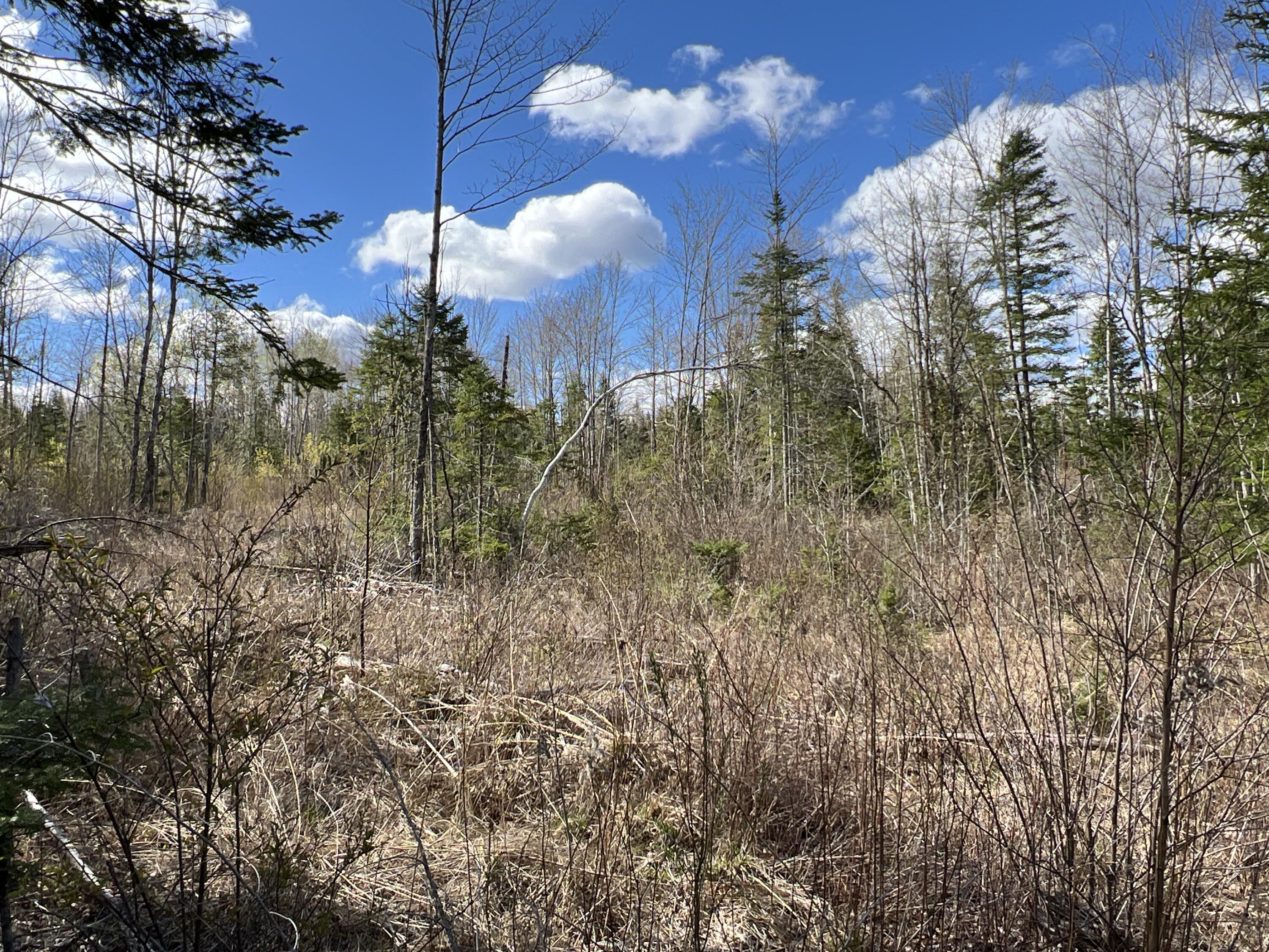 Lot 22 Schoodic Point Road Medford, ME 04463 - Photo 21 of 27 IMG_4186