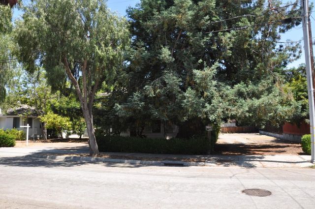 a street view with large trees