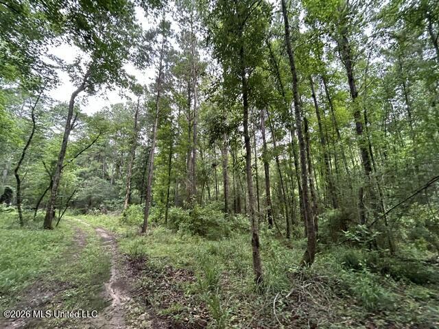 301 Freeman Road Southwest Summit, MS 39666 - Photo 19 of 43 IMG_4601