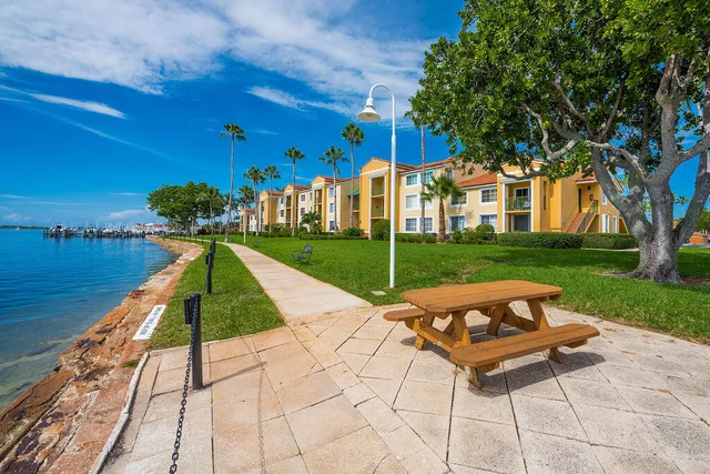 a view of a park with lounge chairs in the patio
