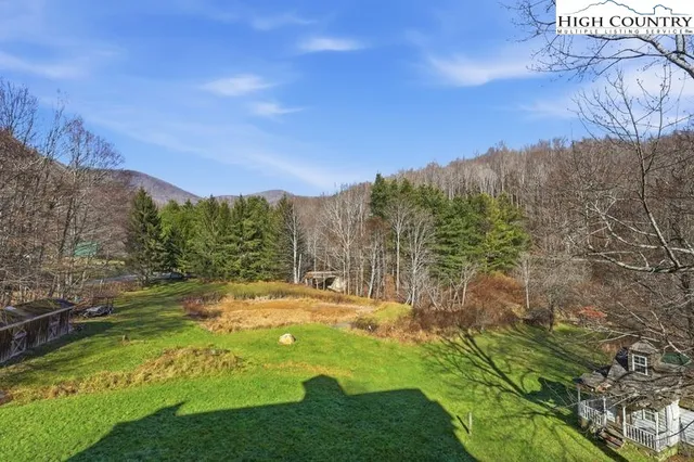 a view of a yard with an trees
