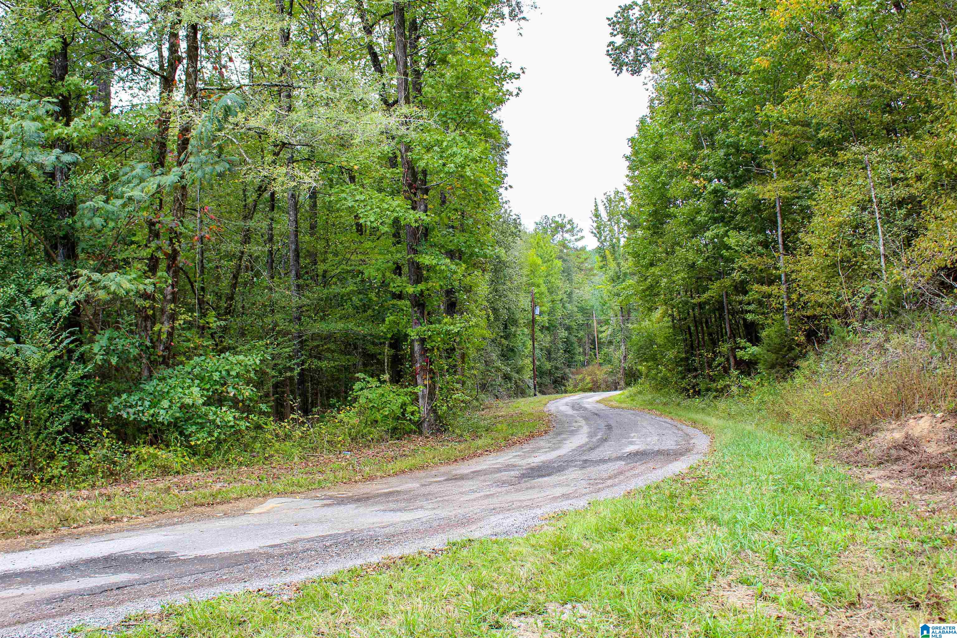 1 Highway 18, Unit 1 Oakman, AL 35579 - Photo 4 of 46