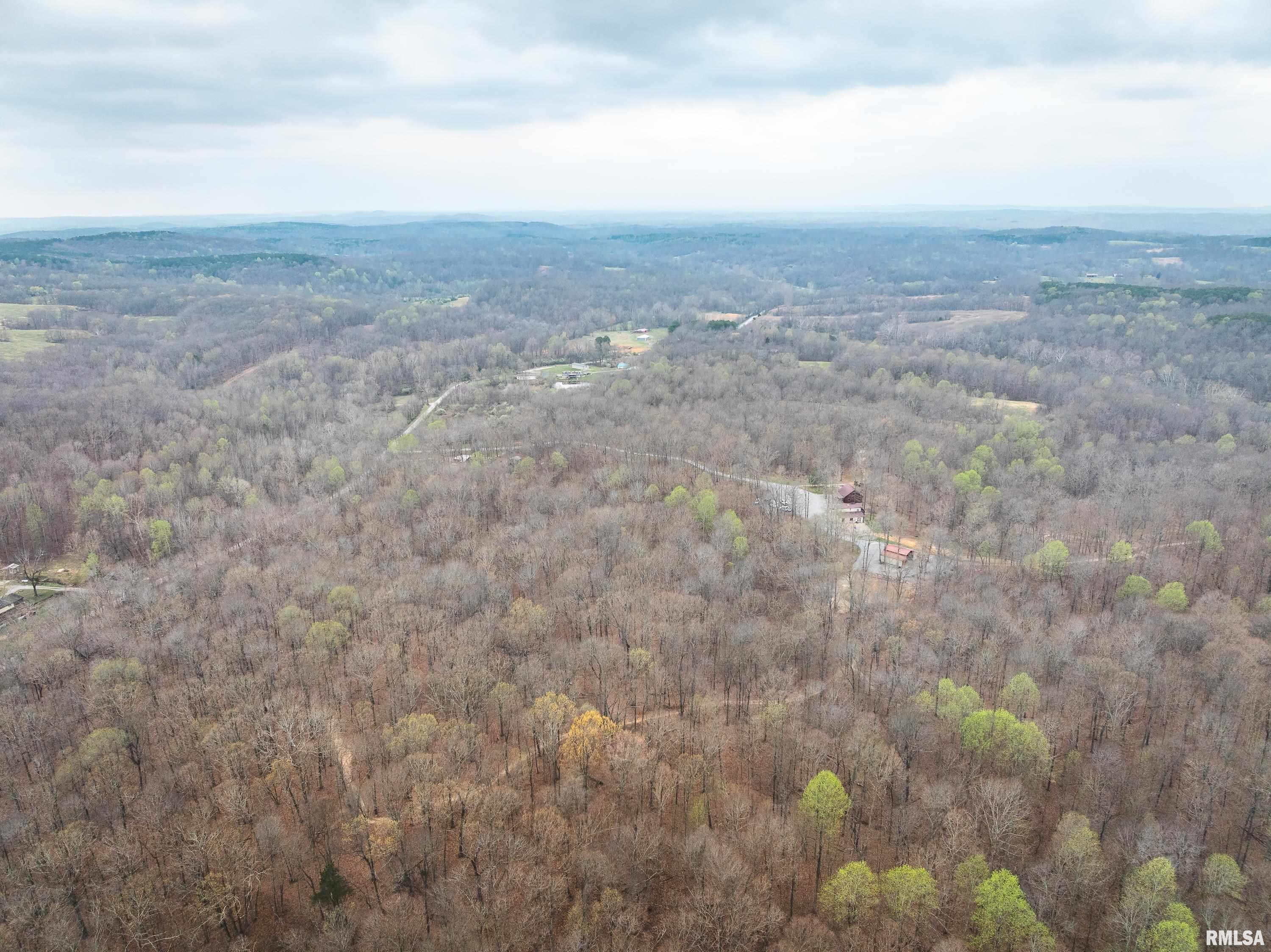 193 Peters Creek Road Elizabethtown, IL 62931 - Photo 11 of 70