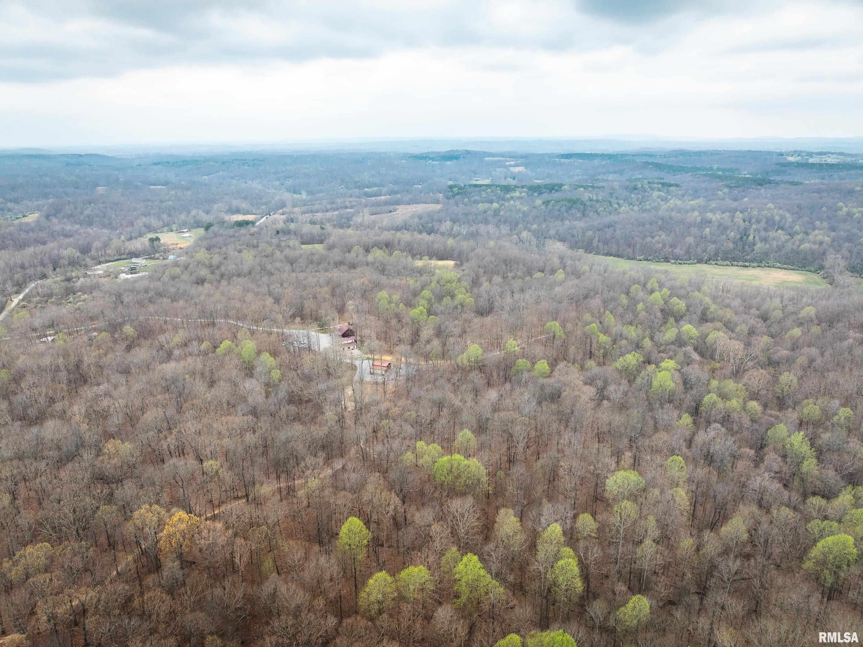 193 Peters Creek Road Elizabethtown, IL 62931 - Photo 12 of 70