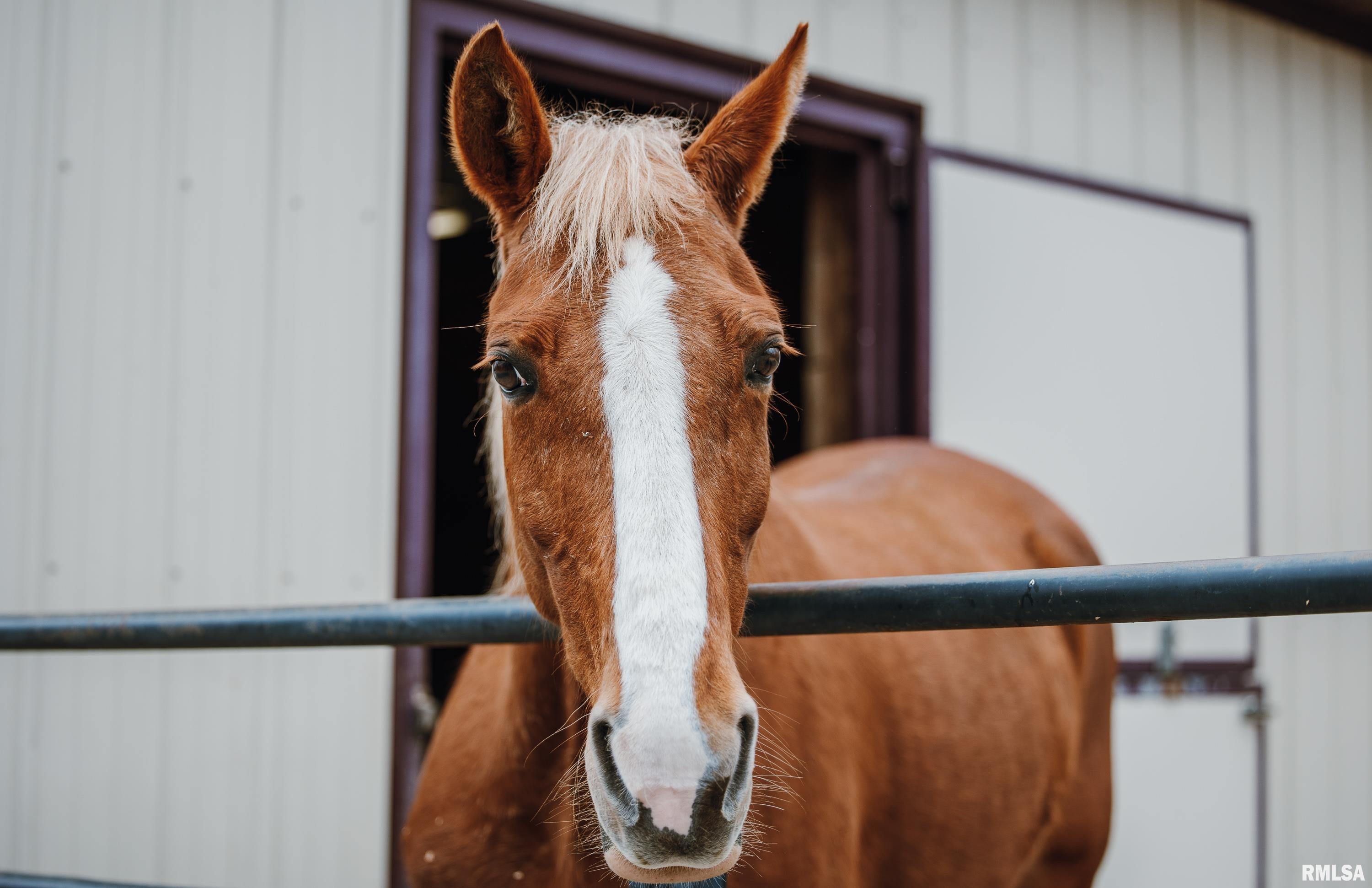 193 Peters Creek Road Elizabethtown, IL 62931 - Photo 20 of 70