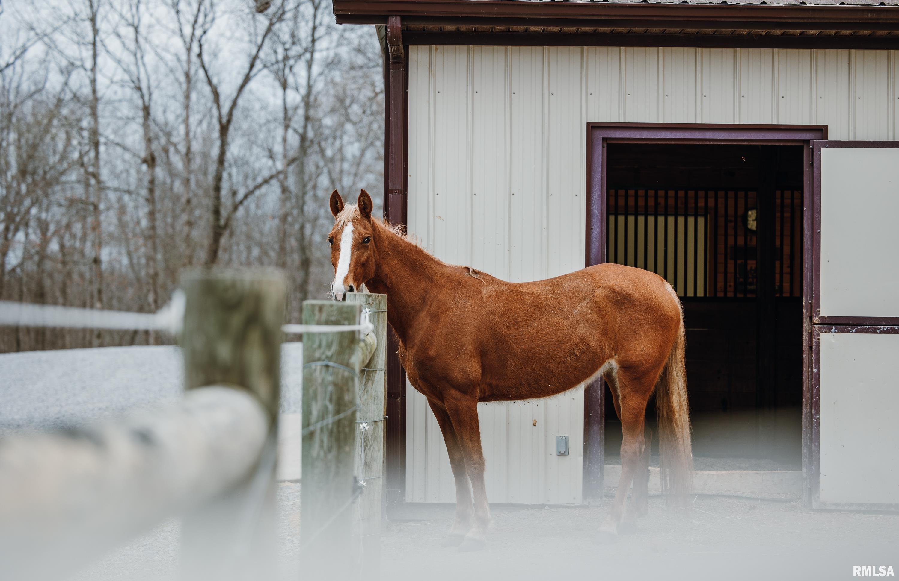 193 Peters Creek Road Elizabethtown, IL 62931 - Photo 21 of 70