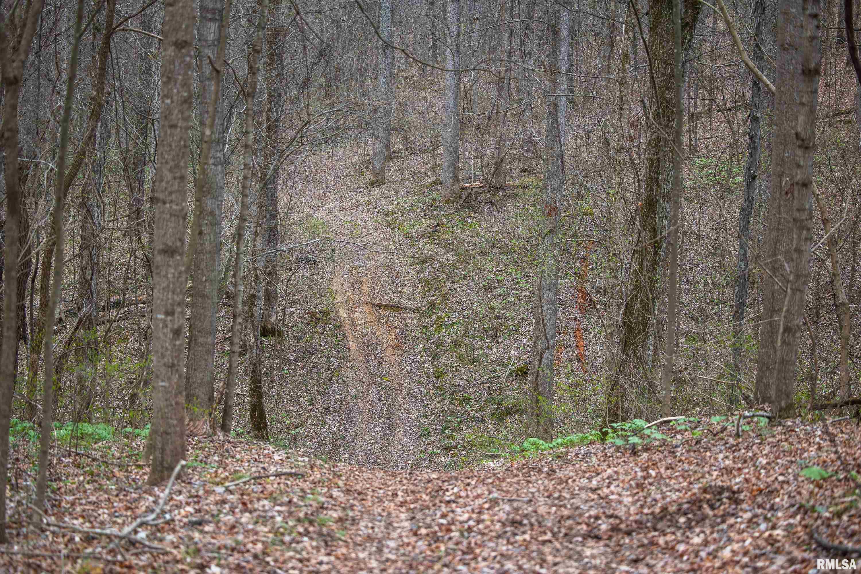 193 Peters Creek Road Elizabethtown, IL 62931 - Photo 34 of 70