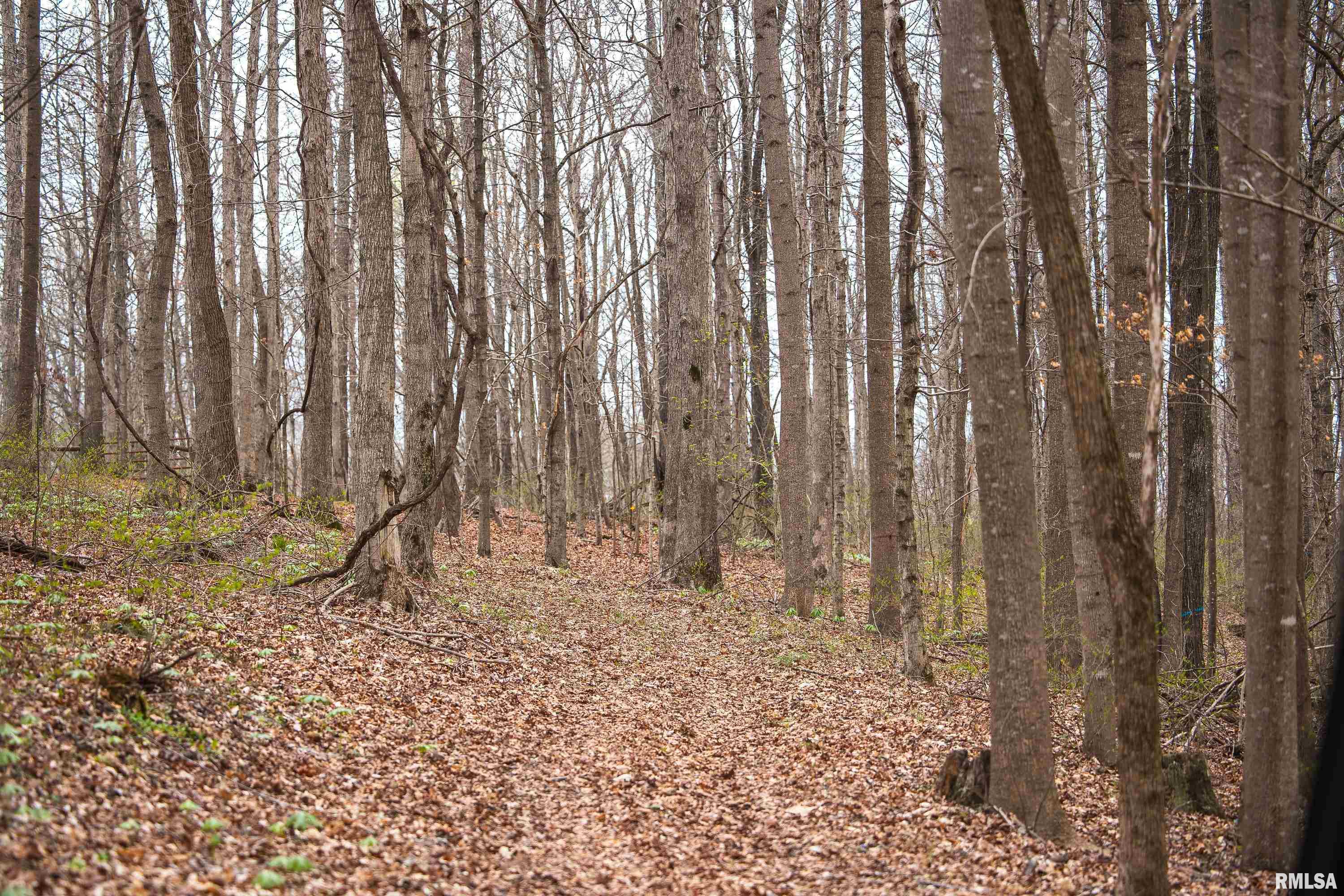 193 Peters Creek Road Elizabethtown, IL 62931 - Photo 35 of 70