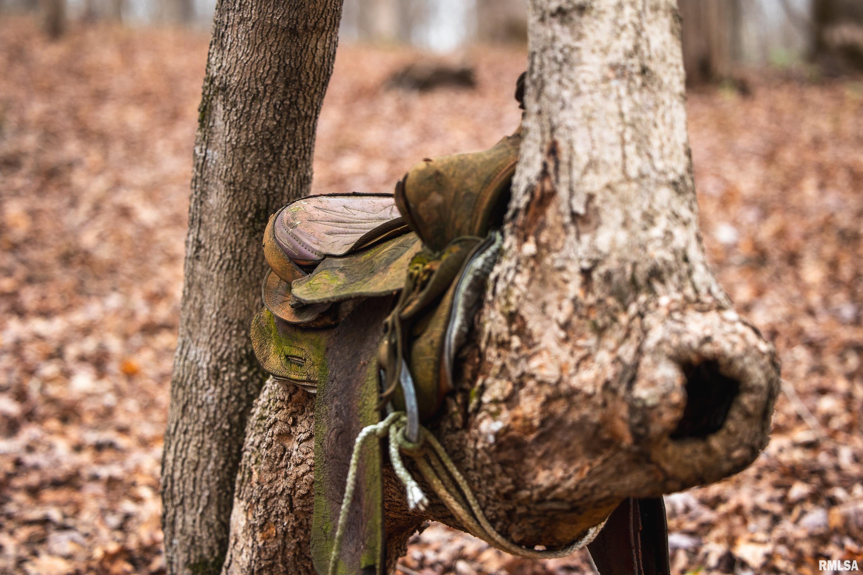 193 Peters Creek Road Elizabethtown, IL 62931 - Photo 36 of 70