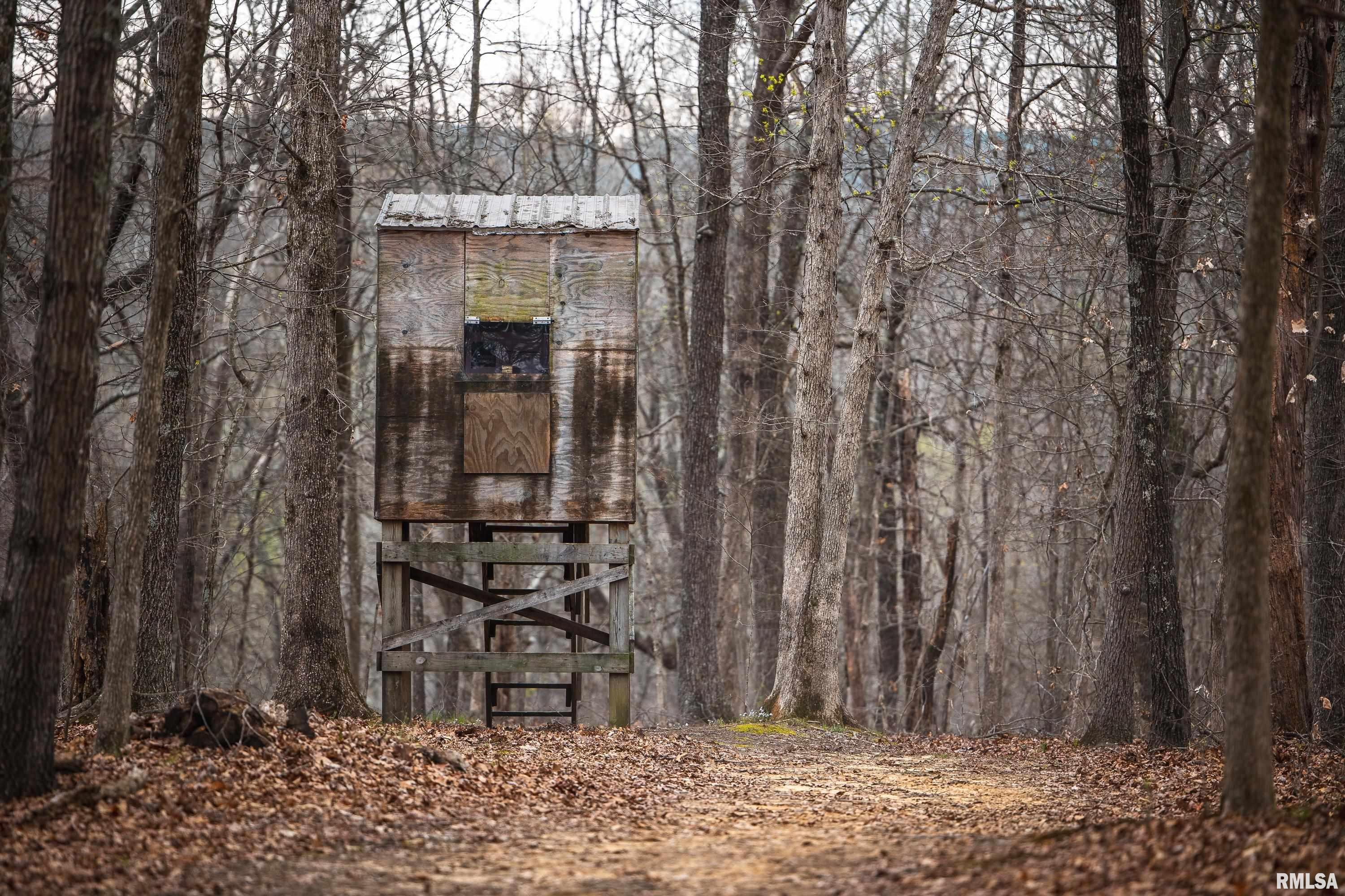 193 Peters Creek Road Elizabethtown, IL 62931 - Photo 37 of 70