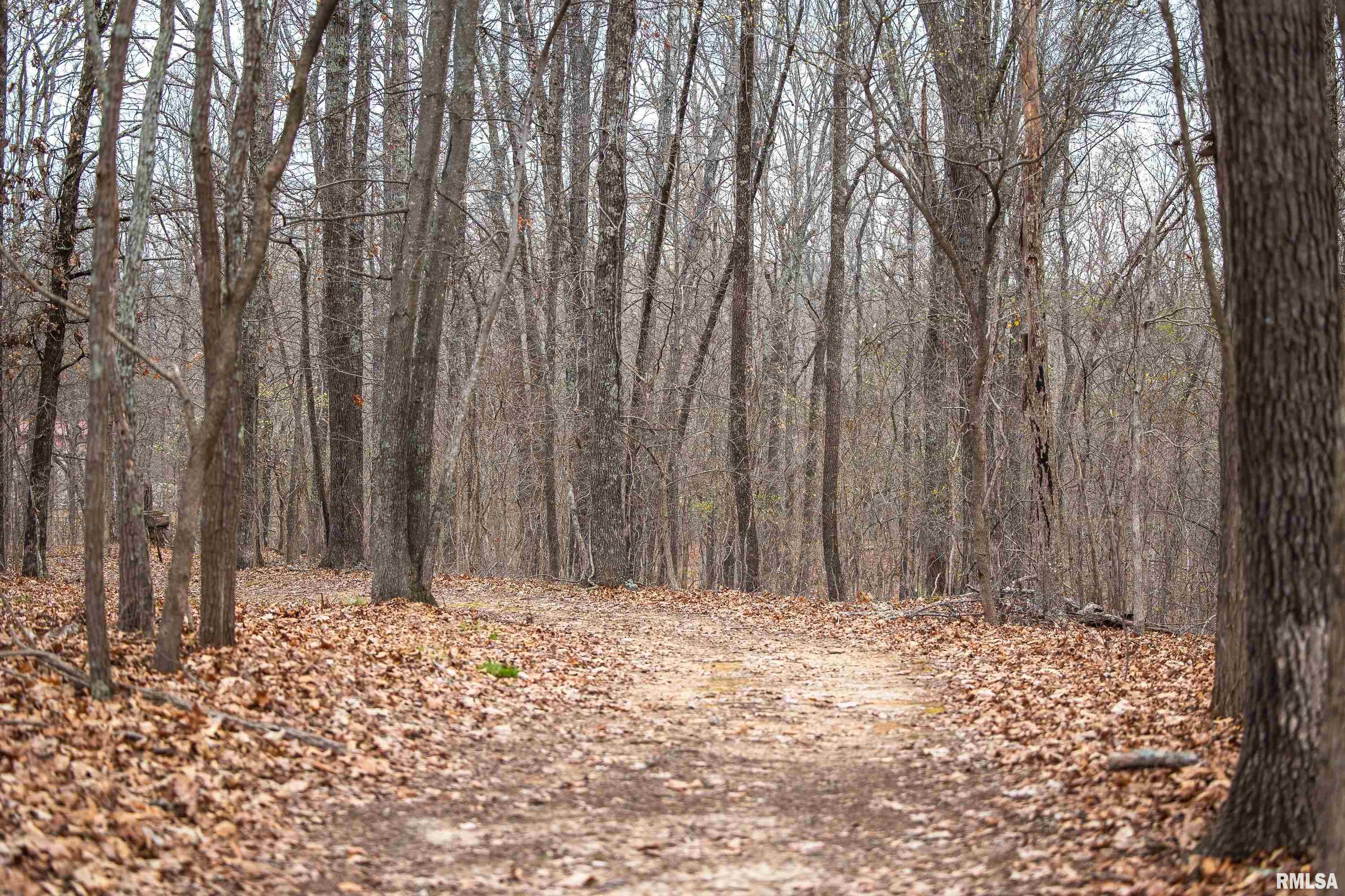 193 Peters Creek Road Elizabethtown, IL 62931 - Photo 38 of 70