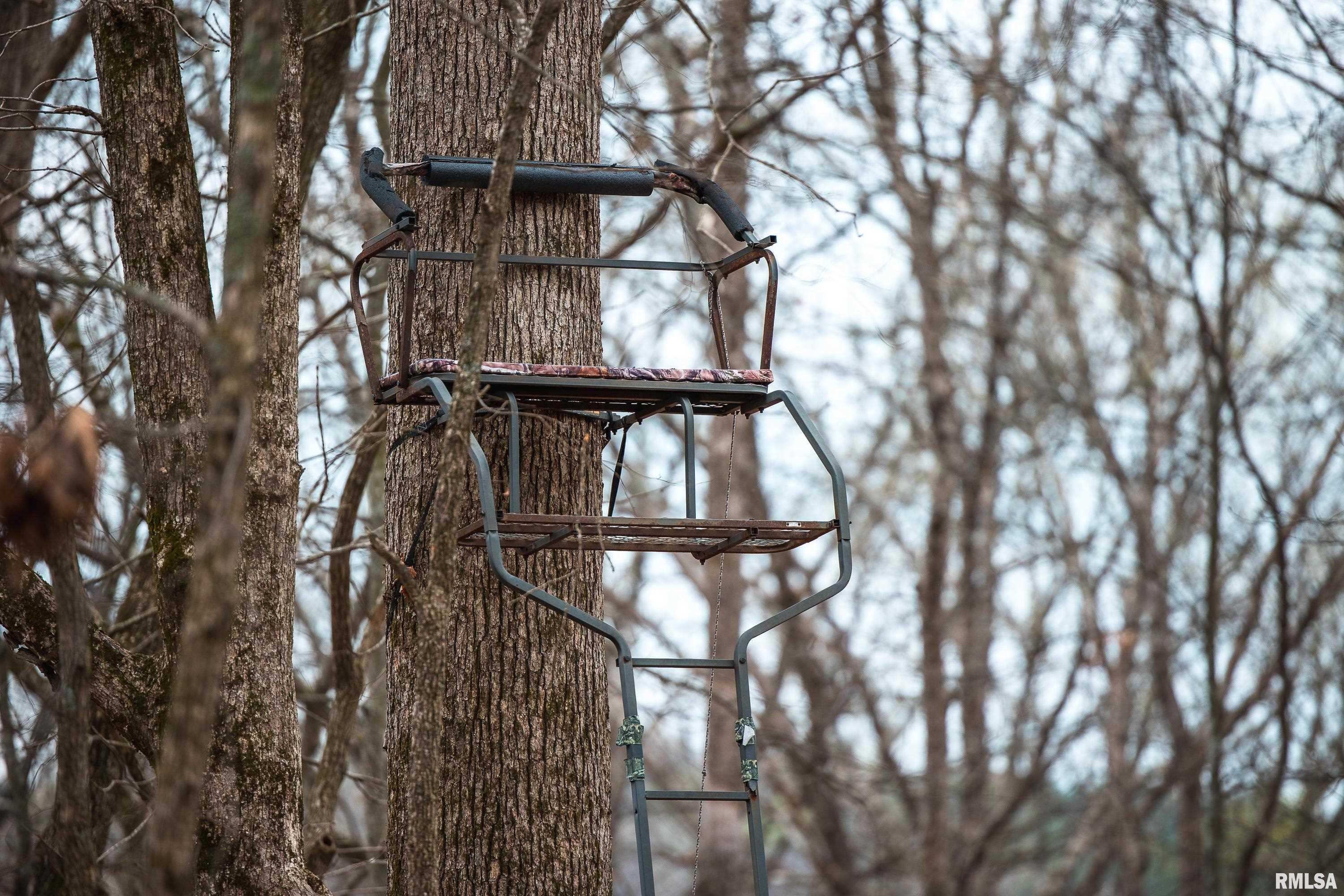 193 Peters Creek Road Elizabethtown, IL 62931 - Photo 39 of 70