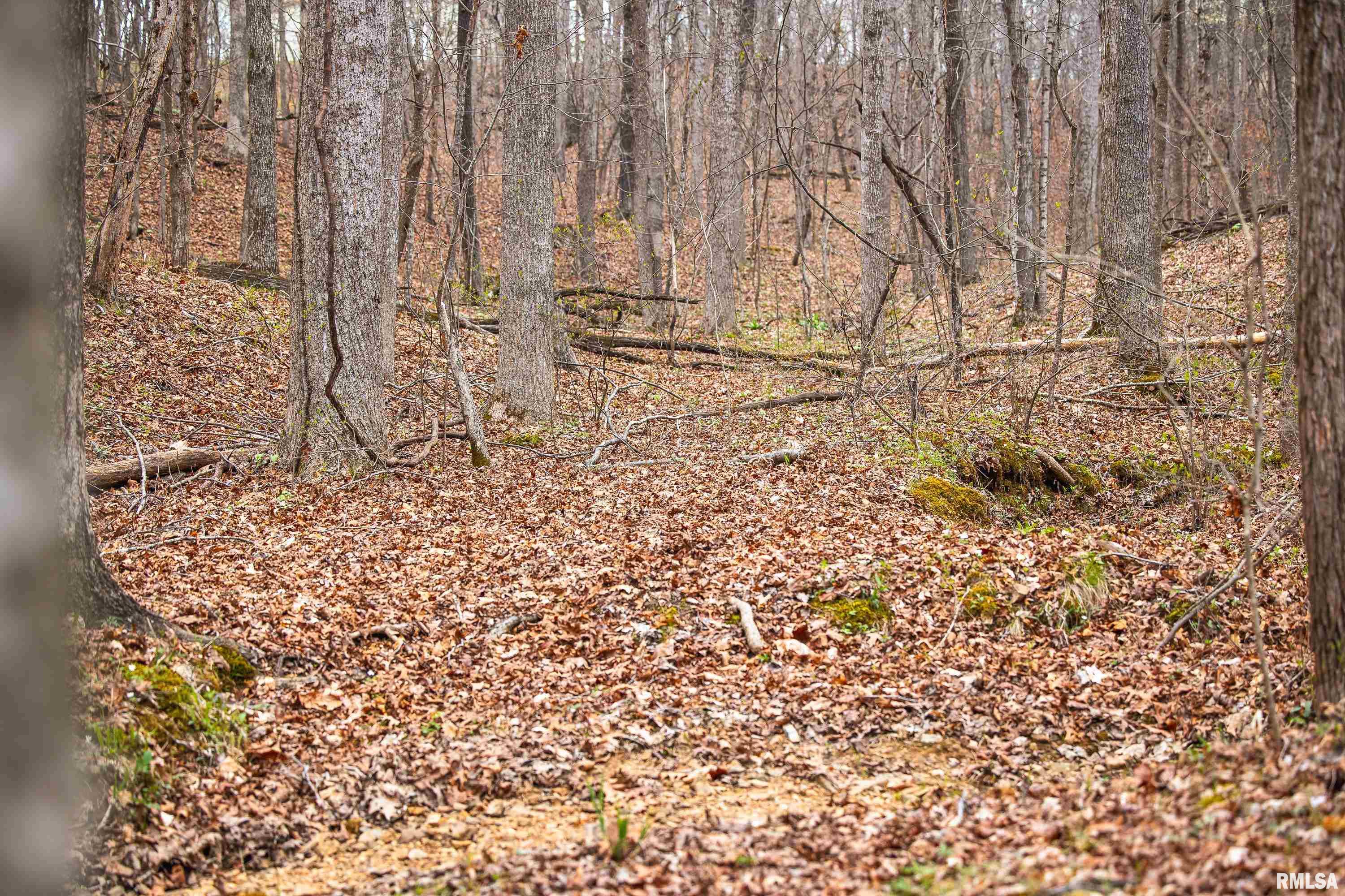 193 Peters Creek Road Elizabethtown, IL 62931 - Photo 40 of 70