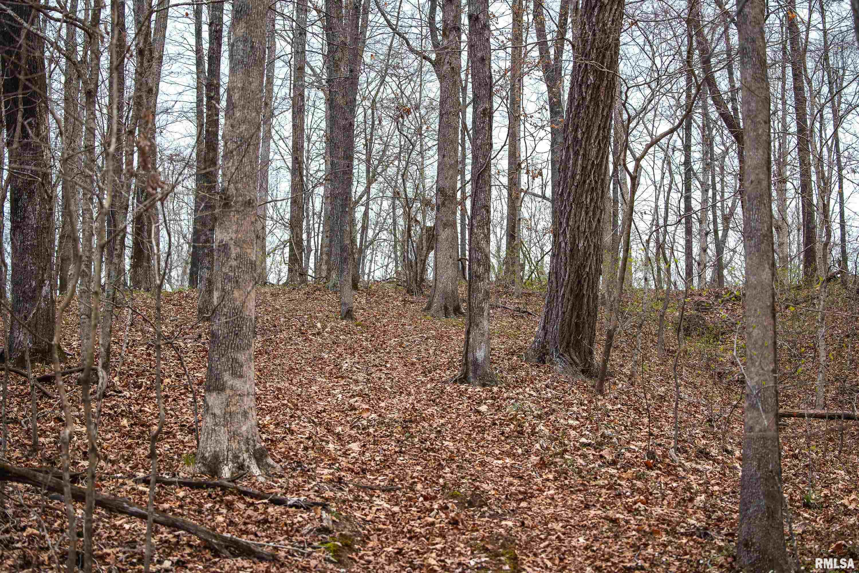 193 Peters Creek Road Elizabethtown, IL 62931 - Photo 41 of 70