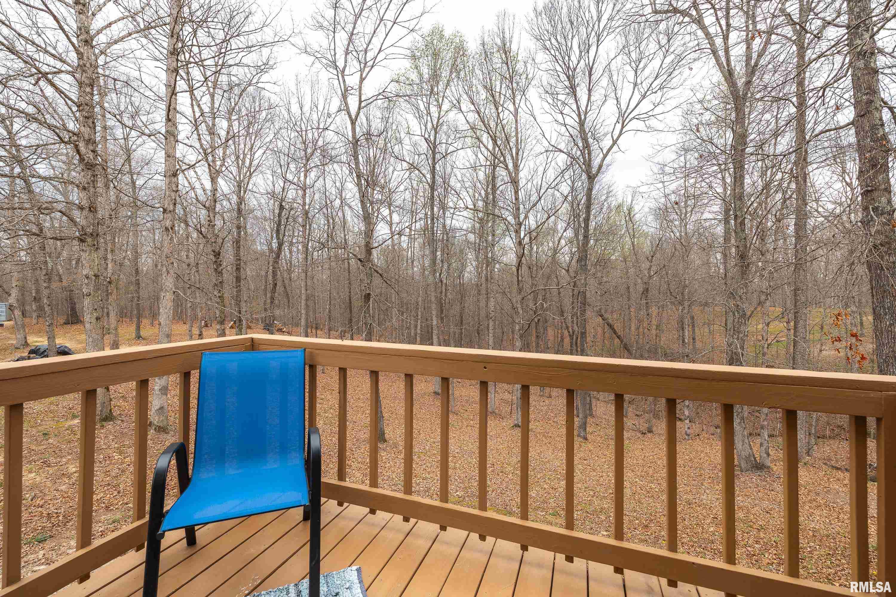 193 Peters Creek Road Elizabethtown, IL 62931 - Photo 56 of 70