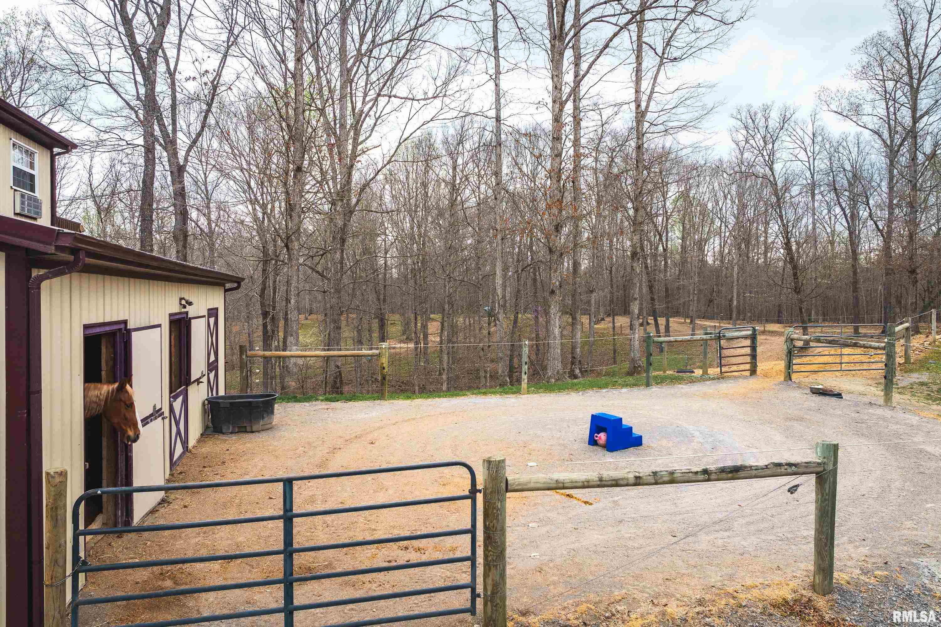 193 Peters Creek Road Elizabethtown, IL 62931 - Photo 6 of 70