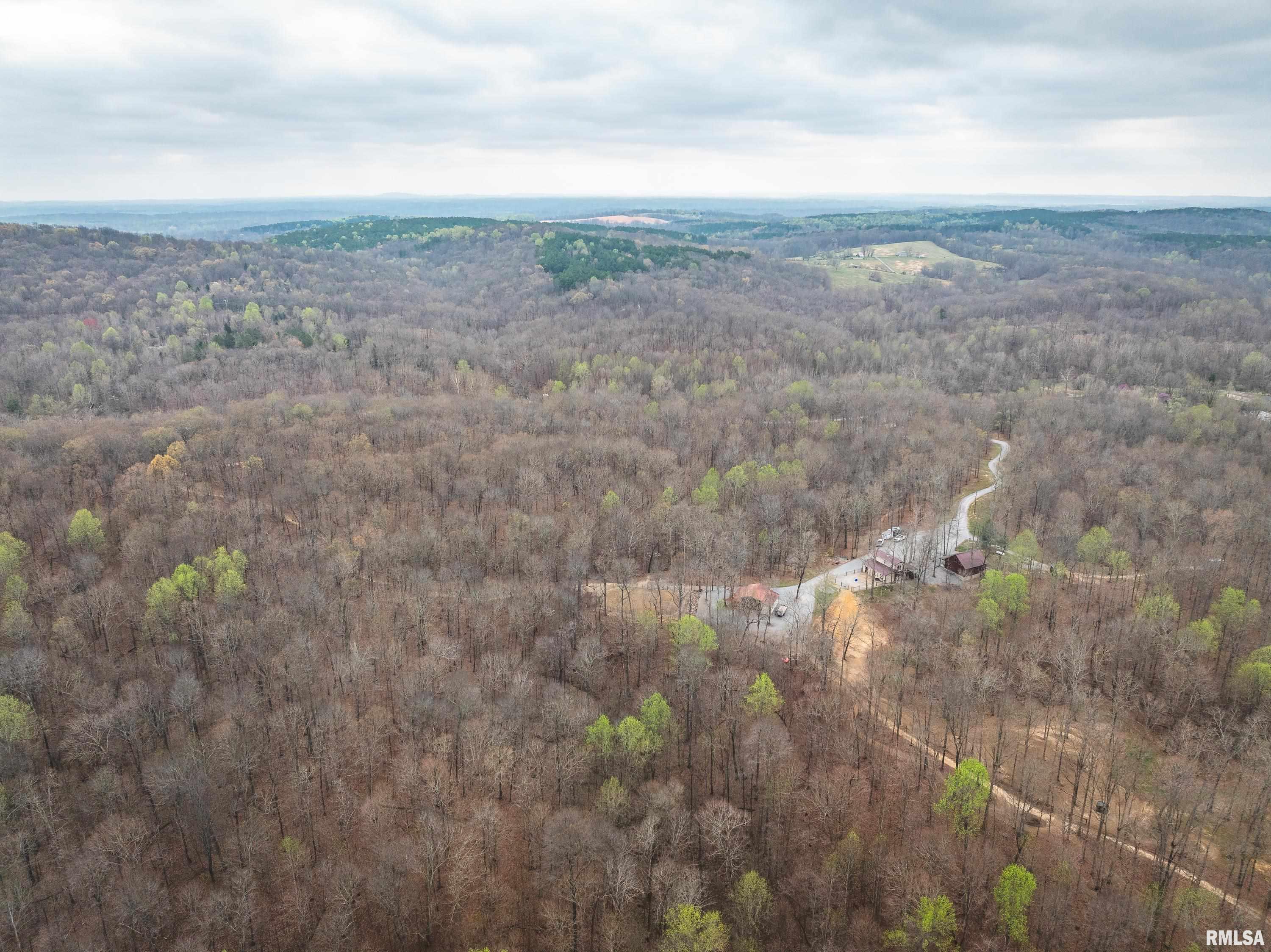 193 Peters Creek Road Elizabethtown, IL 62931 - Photo 10 of 70