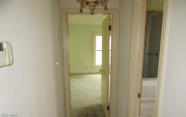 1437 Westover Road Cleveland, OH 44118 - Photo 4 of 30 hallway