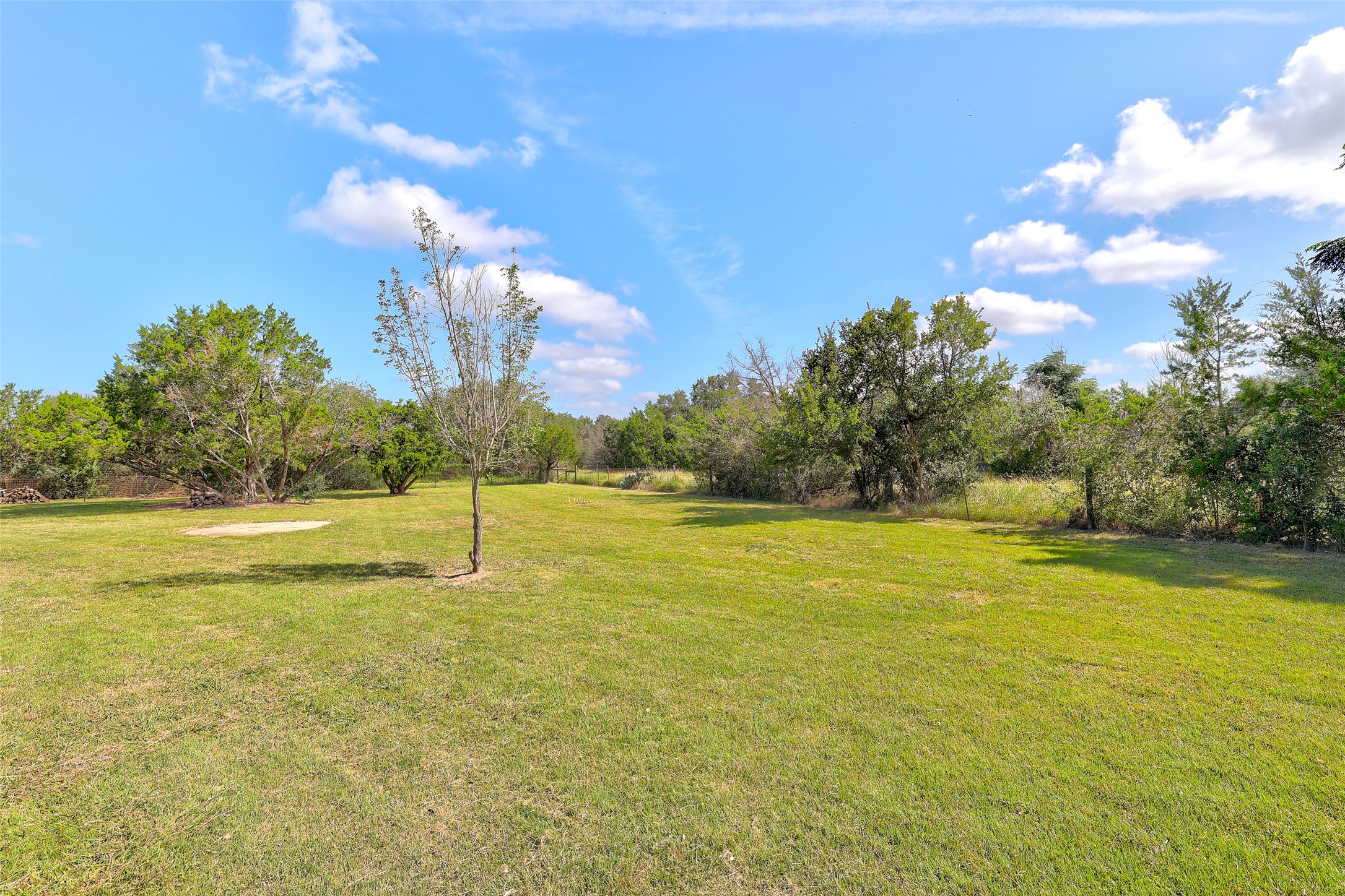 125 Kyle Lane Georgetown, TX 78633 - Photo 33 of 34 View of green lawn