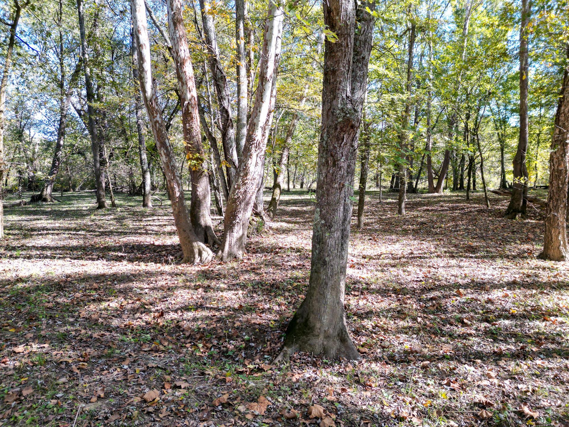 1462 Keystone Road, Unit RACCOON CREEK ADVENTURES) Vinton, OH 45686 - Photo 14 of 69