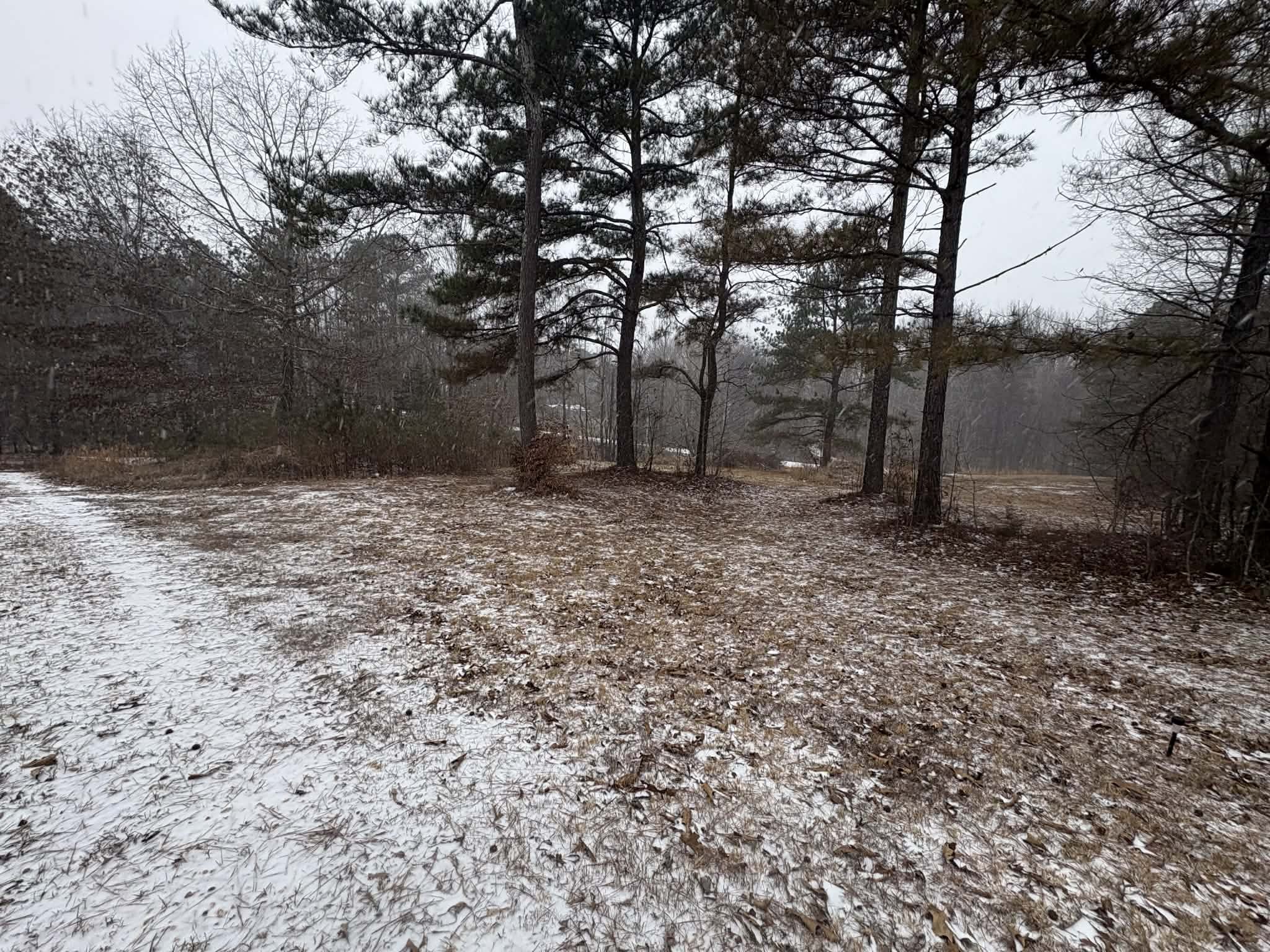 1595 Johnson Branch Road Pulaski, TN 38478 - Photo 19 of 23