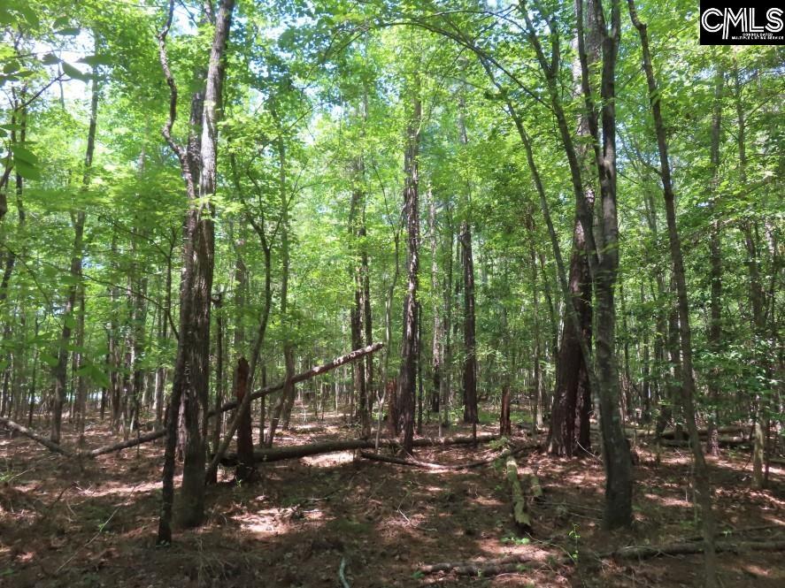 0 Park Road Ridgeway, SC 29130 - Photo 23 of 47