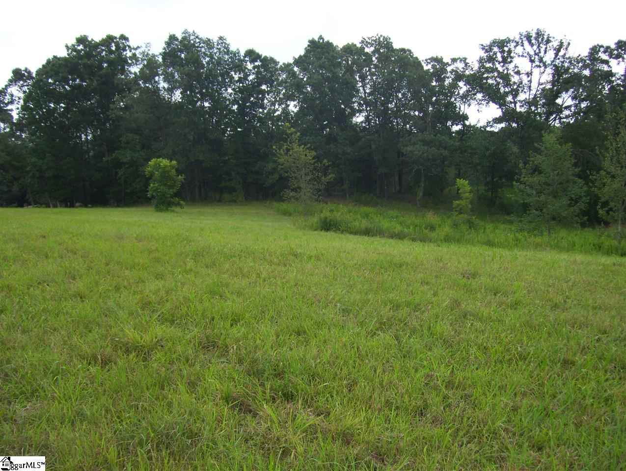 0 Ben Johnson Road Inman, SC 29349 - Photo 1 of 1