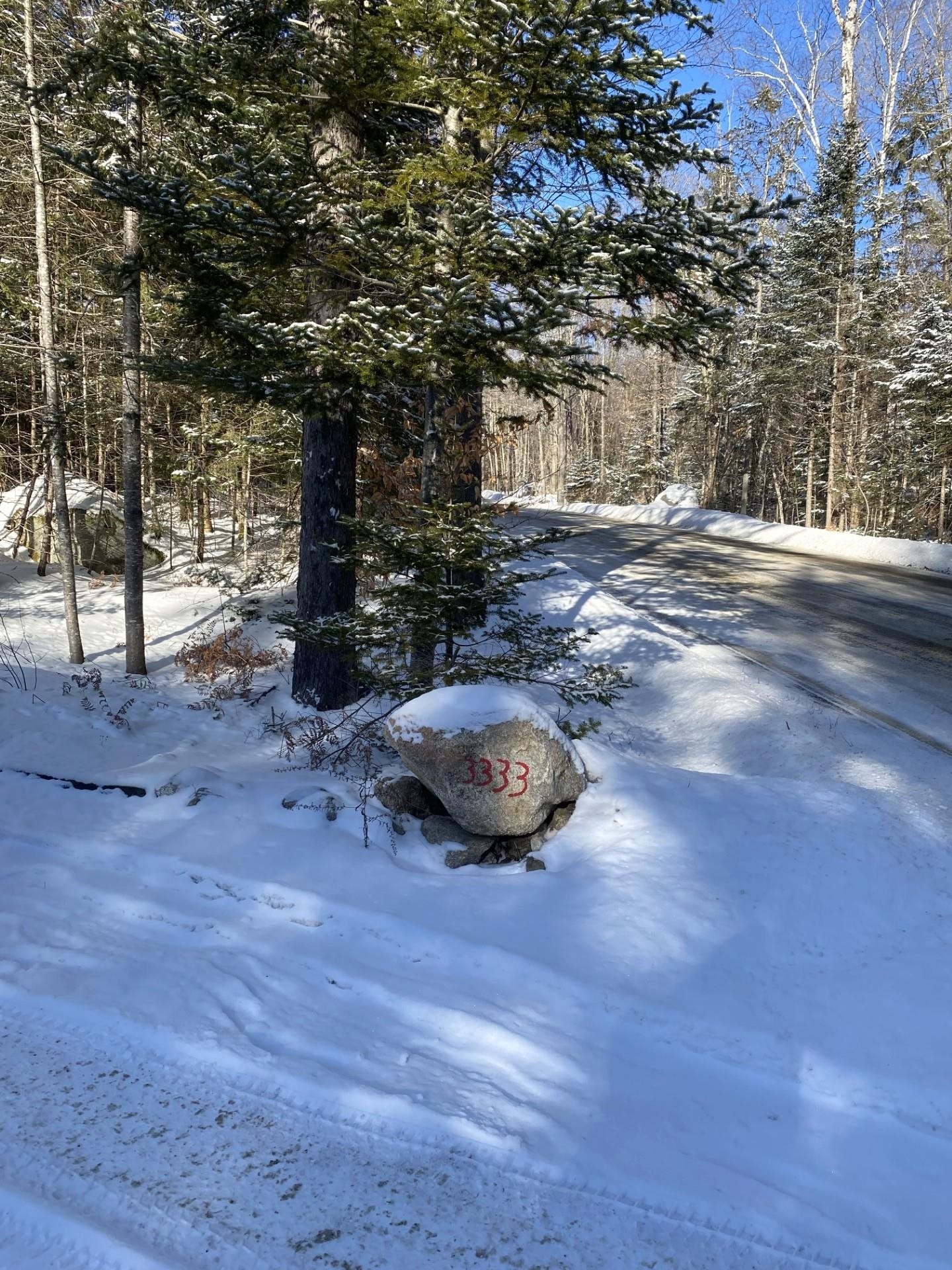 3333 State Forest Road Groton, VT 05046 - Photo 8 of 49 Gallery Image 8