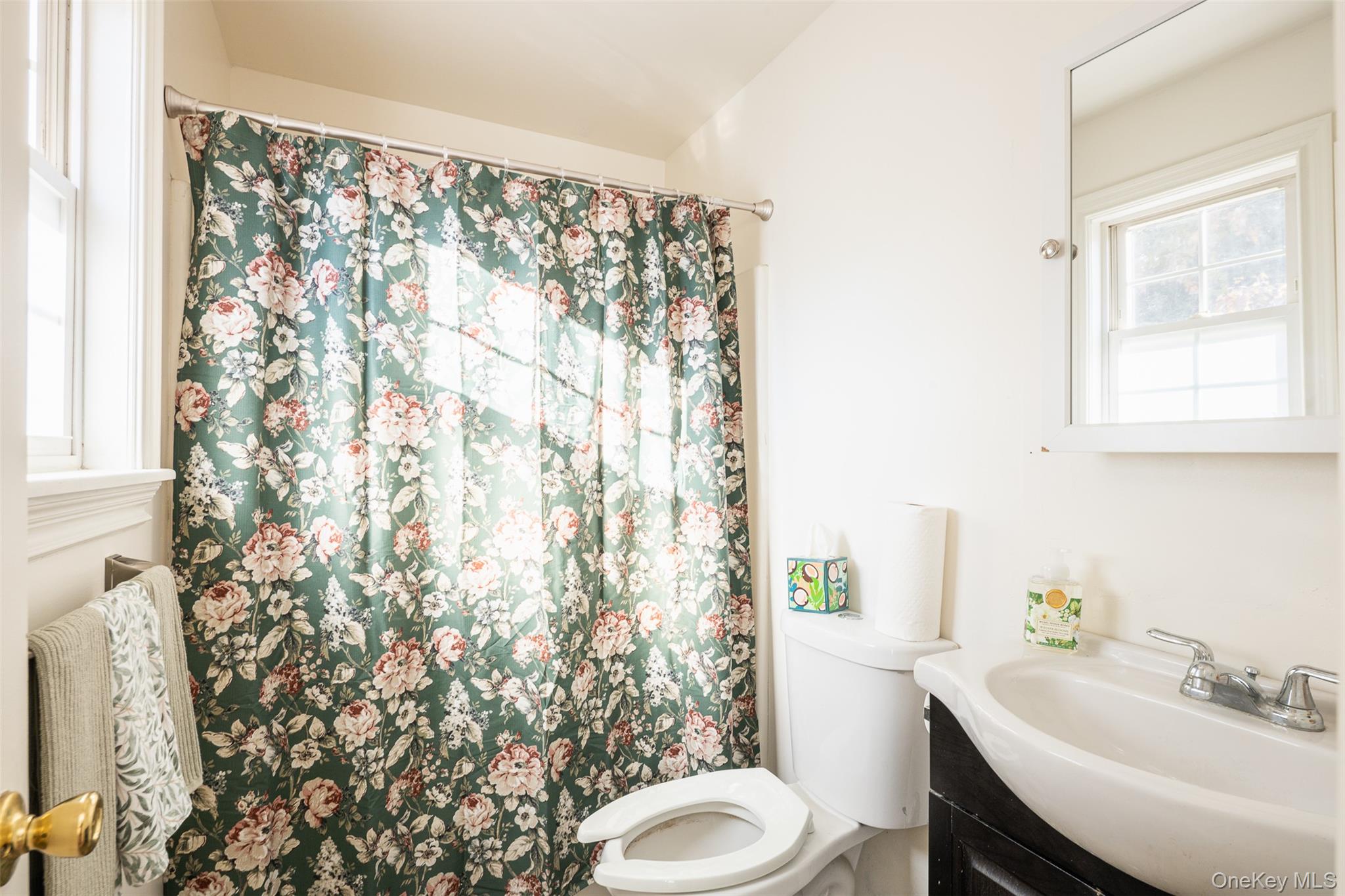 182 Whittier Drive Mastic Beach, NY 11951 - Photo 11 of 25 a bathroom with a sink toilet and shower