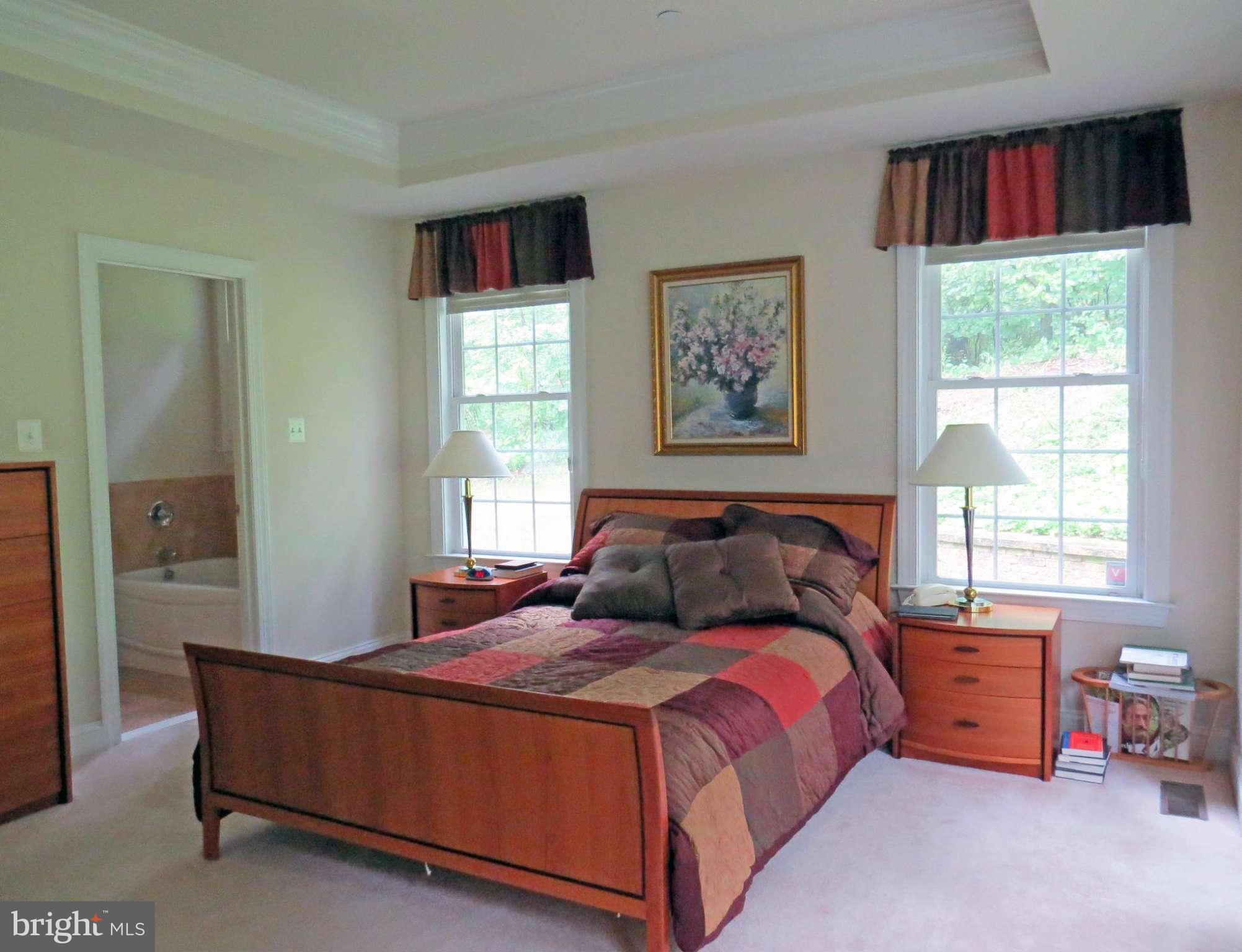 7650 Talbot Run Road Mount Airy, MD 21771 - Photo 11 of 15 a bed sitting in a bedroom next to a window