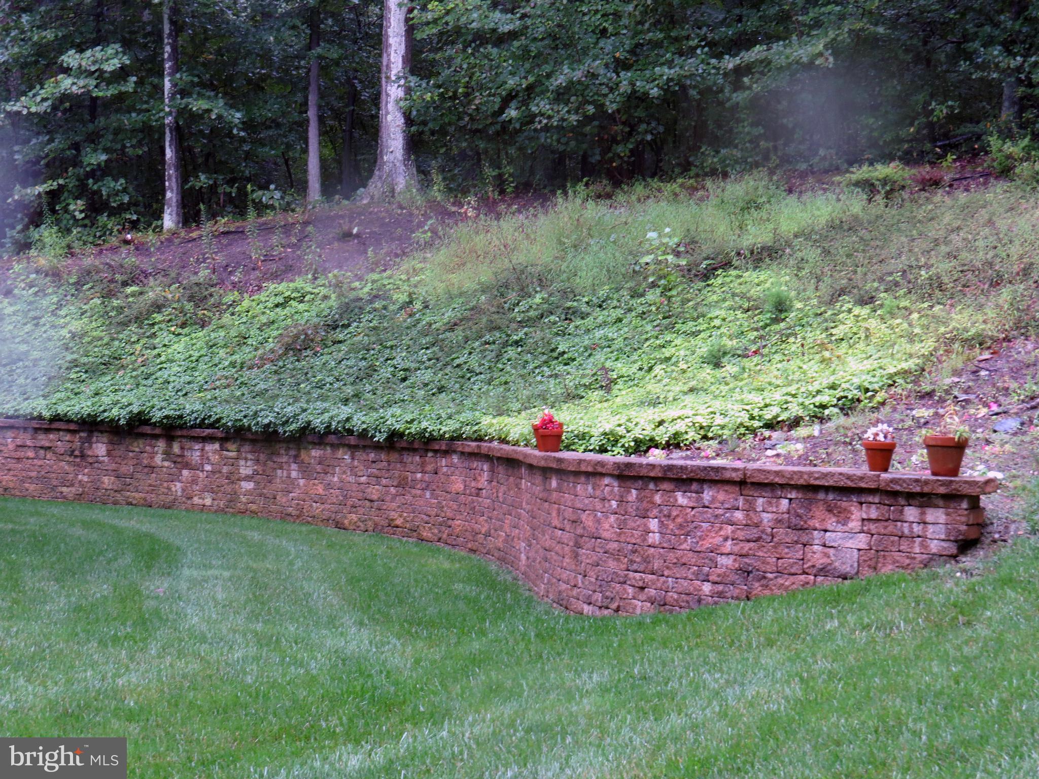 7650 Talbot Run Road Mount Airy, MD 21771 - Photo 14 of 15 a view of a backyard with plants