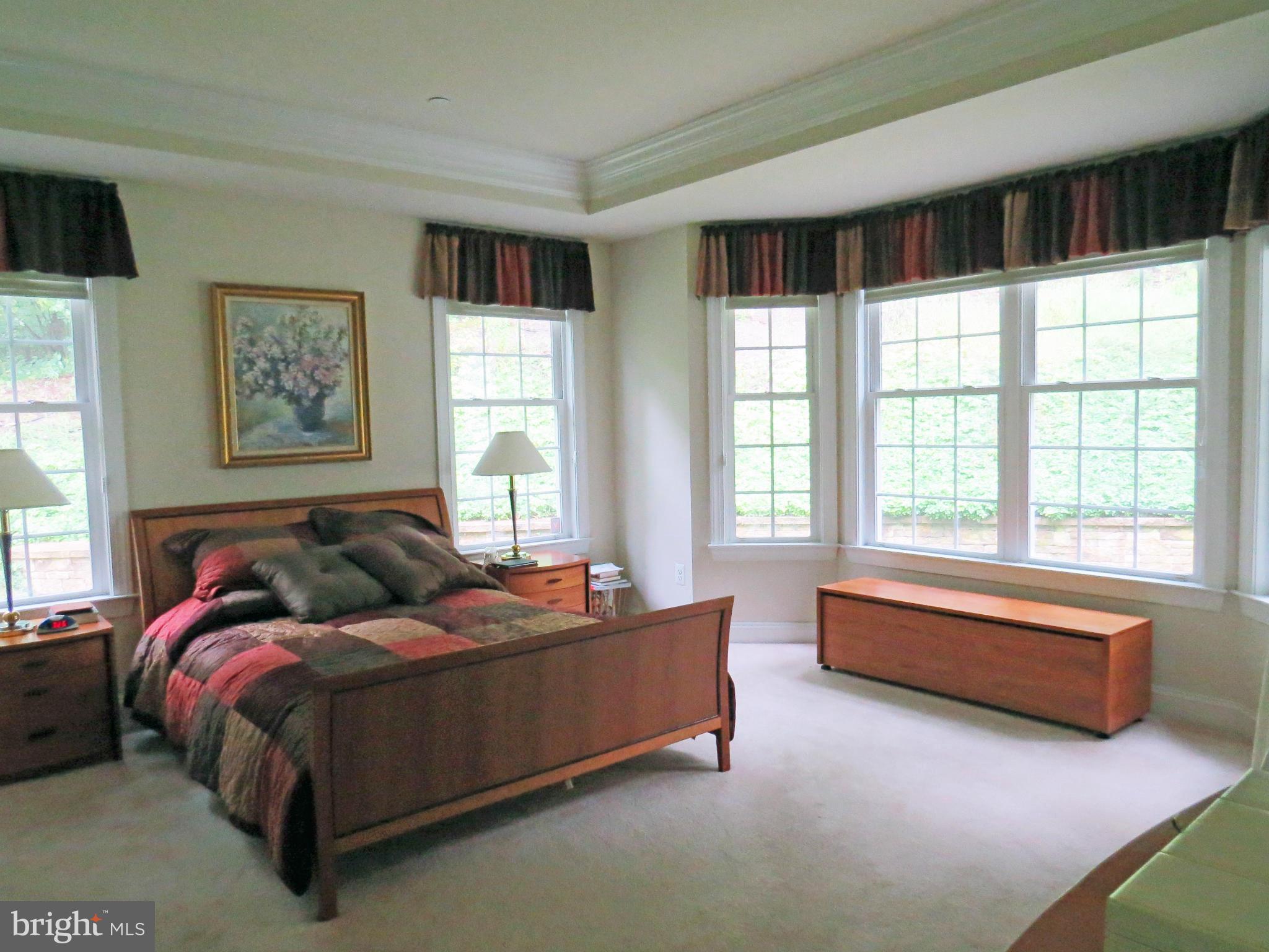 7650 Talbot Run Road Mount Airy, MD 21771 - Photo 10 of 15 a bedroom with bed and a large window