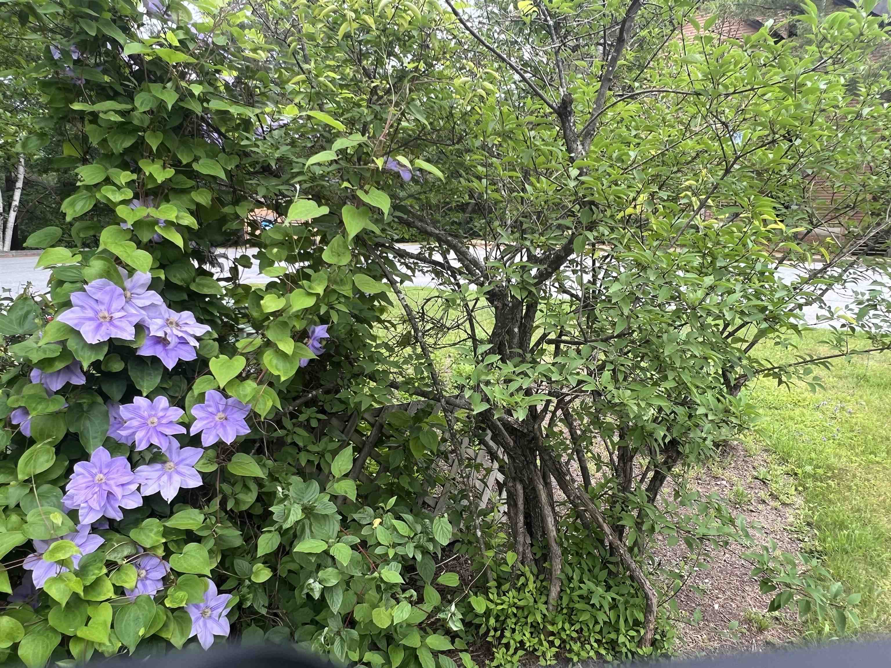 8 B Deer Creek West Dover, VT 05356 - Photo 31 of 31