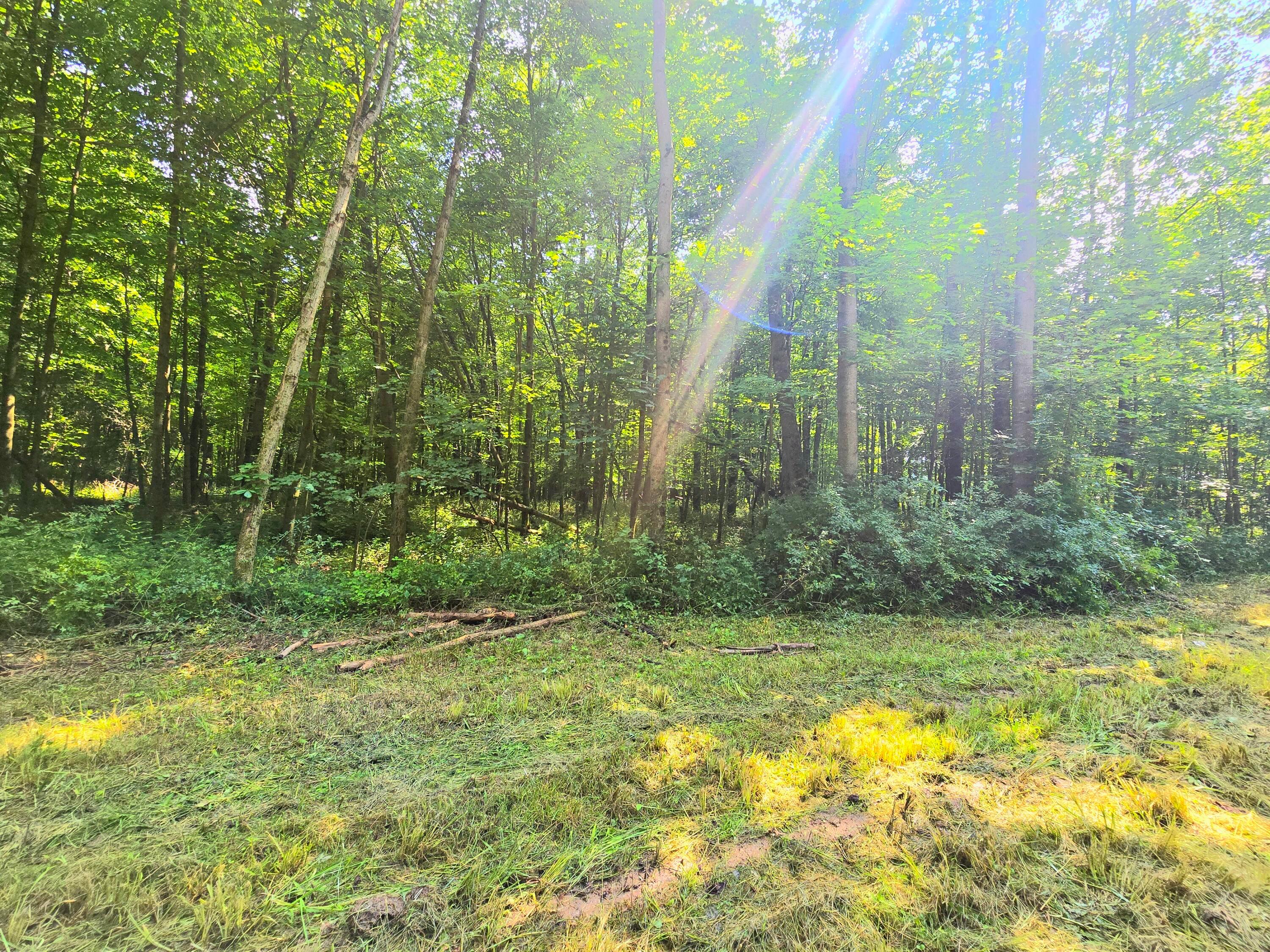 9026-1 Gregg Road Fredericktown, OH 43019 - Photo 13 of 16 1000062283