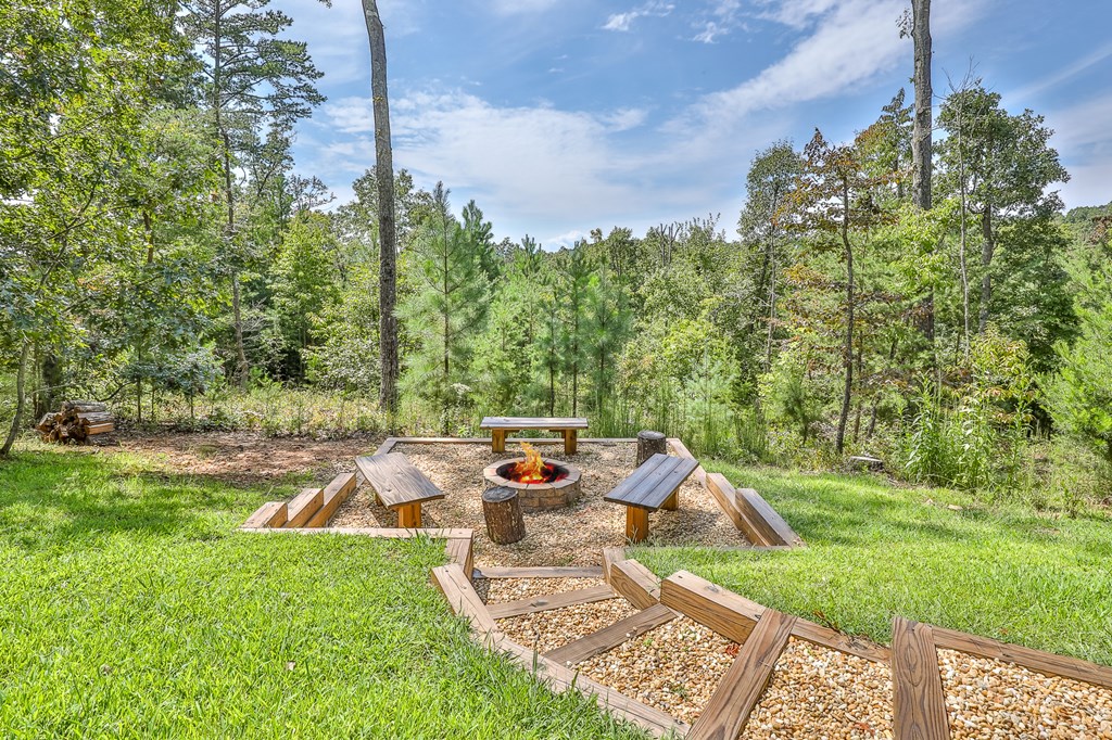 211 Big Timber Road Mineral Bluff, GA 30559 - Photo 43 of 50 Gallery Image 43