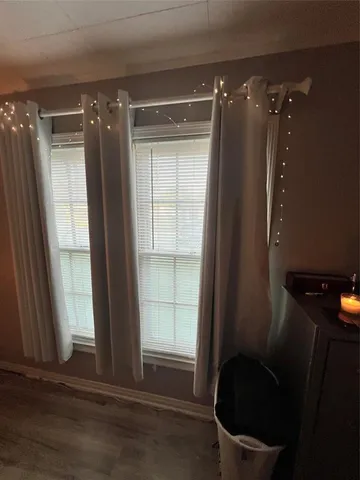 a plant is sitting in a garden