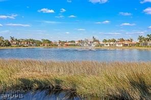 19673 Villa Rosa Loop Estero, FL 33967 - Photo 23 of 24 Gallery Image 23