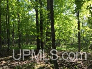 Tbd Tbd Maggie Pt Road, Unit 4E Crystal Falls, MI 49920 - Photo 3 of 7