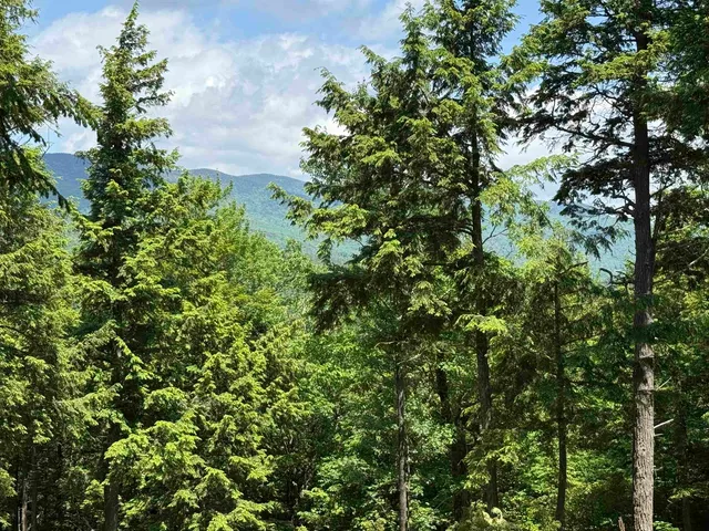 $249,000 | Lot 15 Kelly Way, Campton, NH 03223