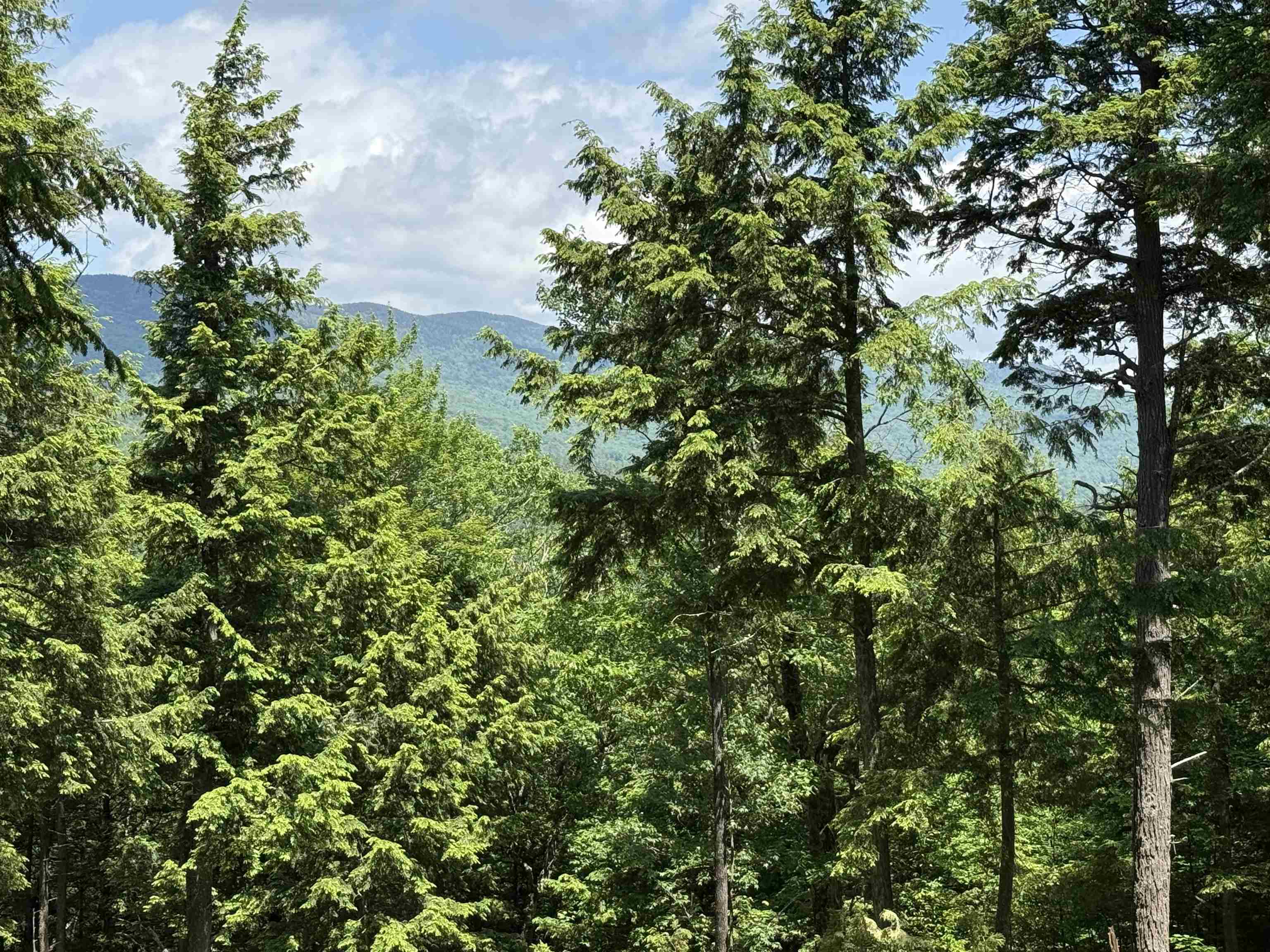 Lot 15 Kelly Way Campton, NH 03223 - Photo 6 of 10